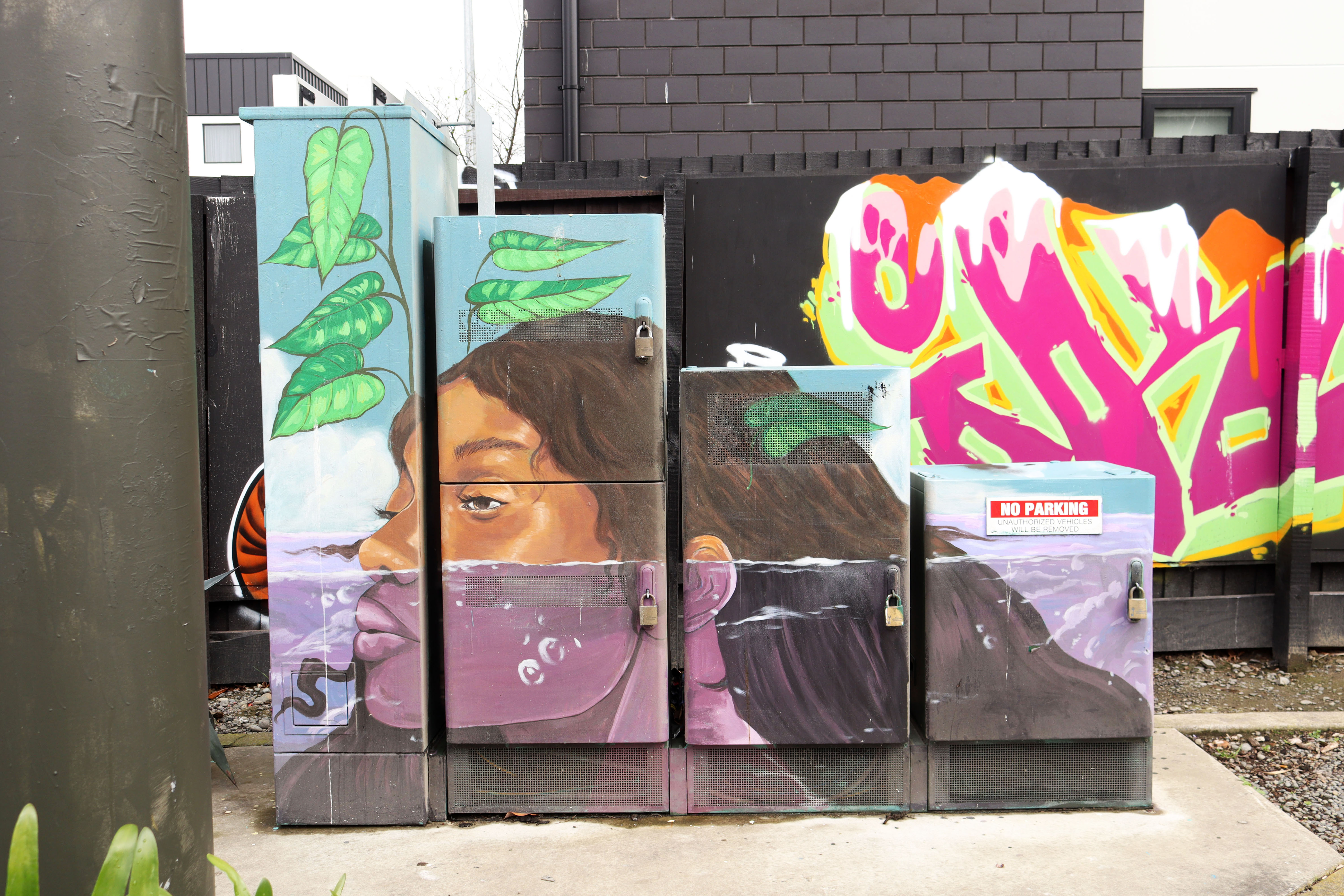 Two Realities by Kophie Loaf | Street Art NSW