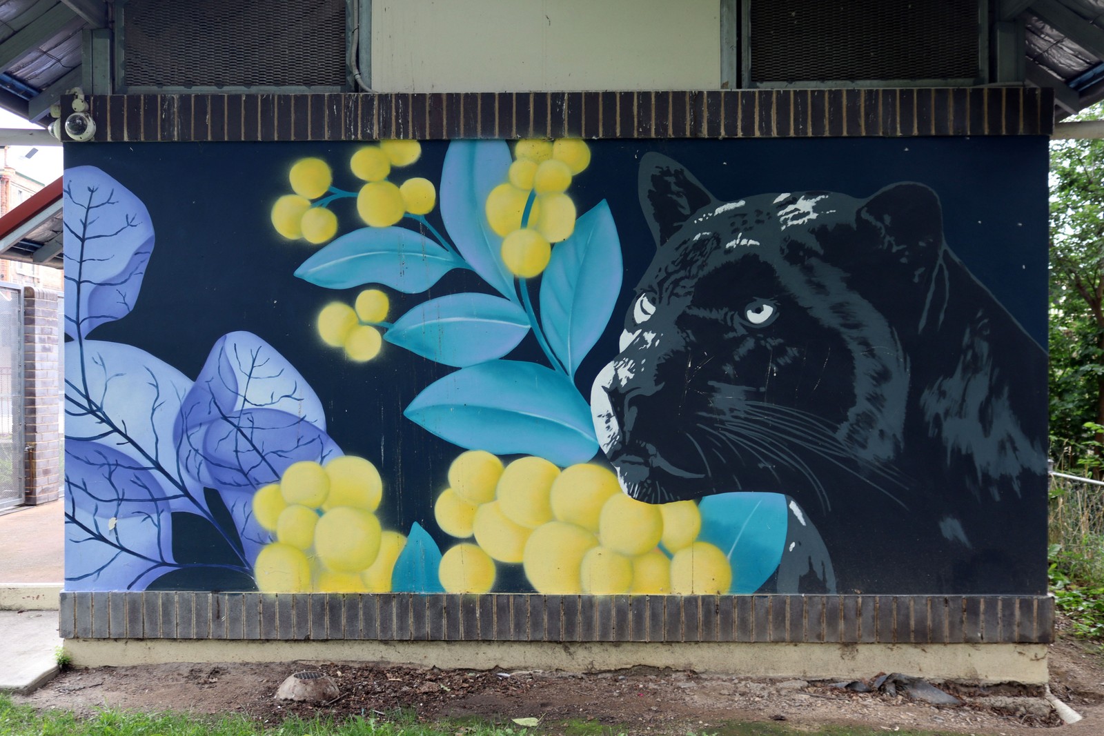 Untitled by MAN.De | Street Art NSW