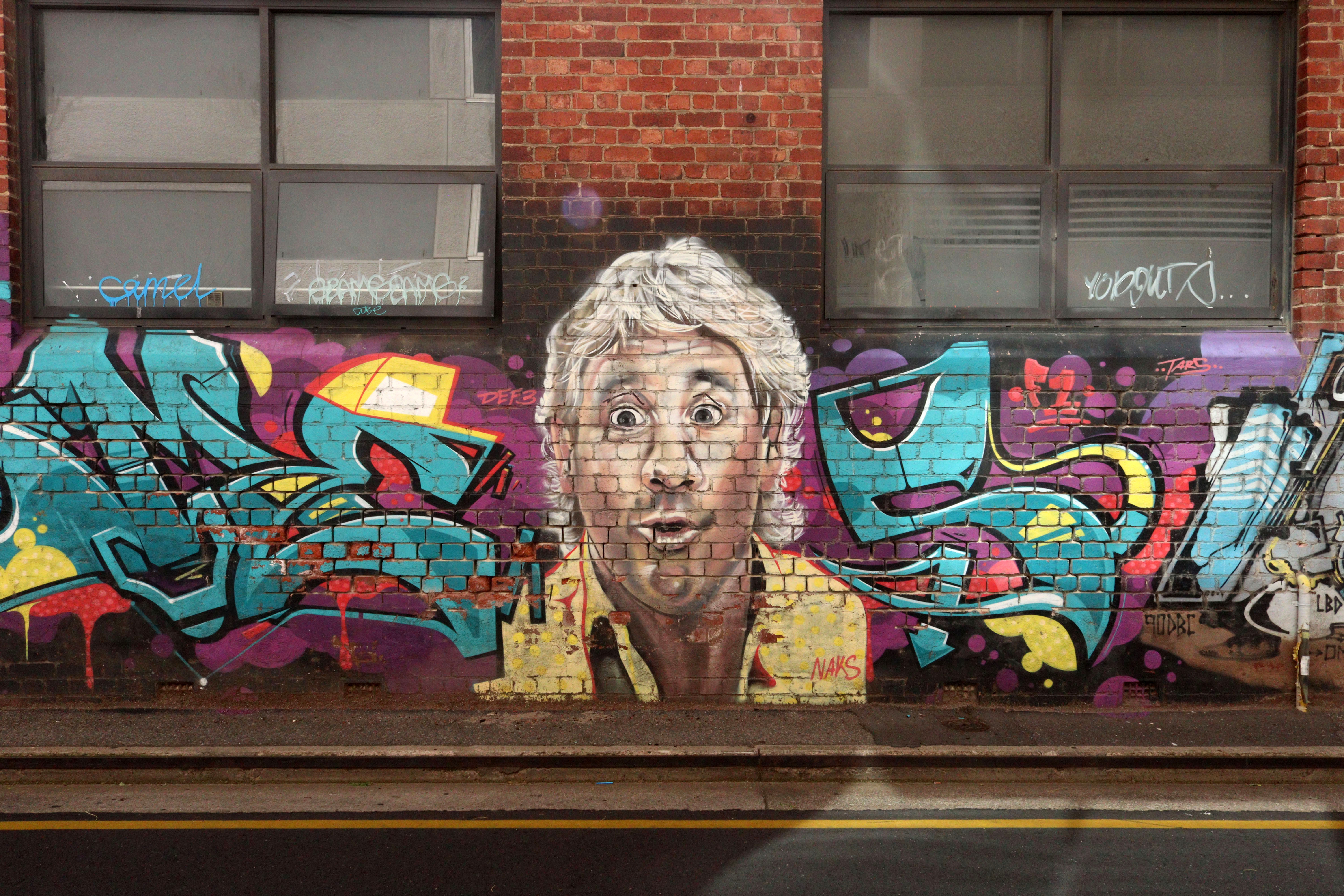 Steve Irwin by Vans The Omega | Street Art NSW