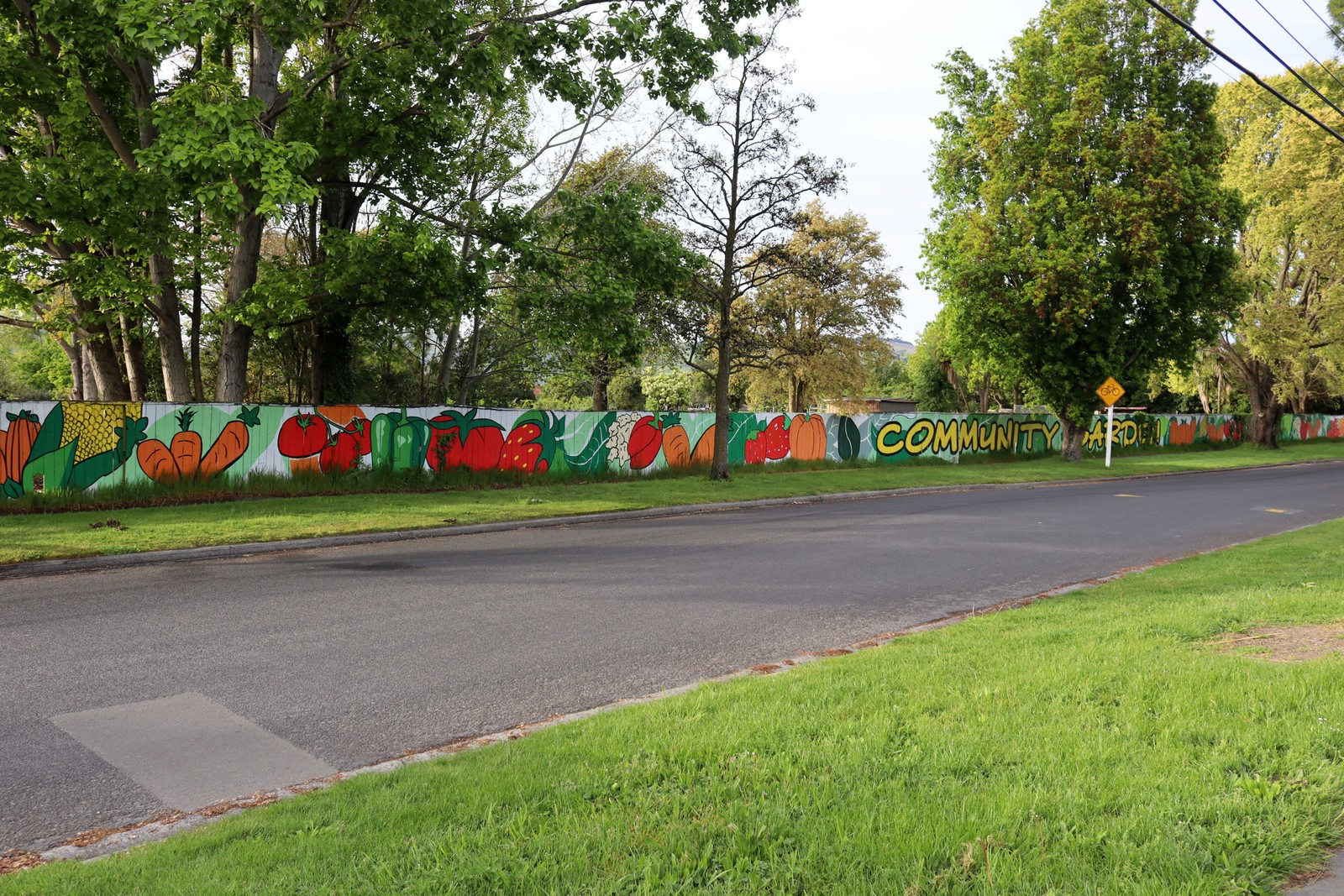 Community Garden by GirlGuiding New Zealand | Street Art NSW