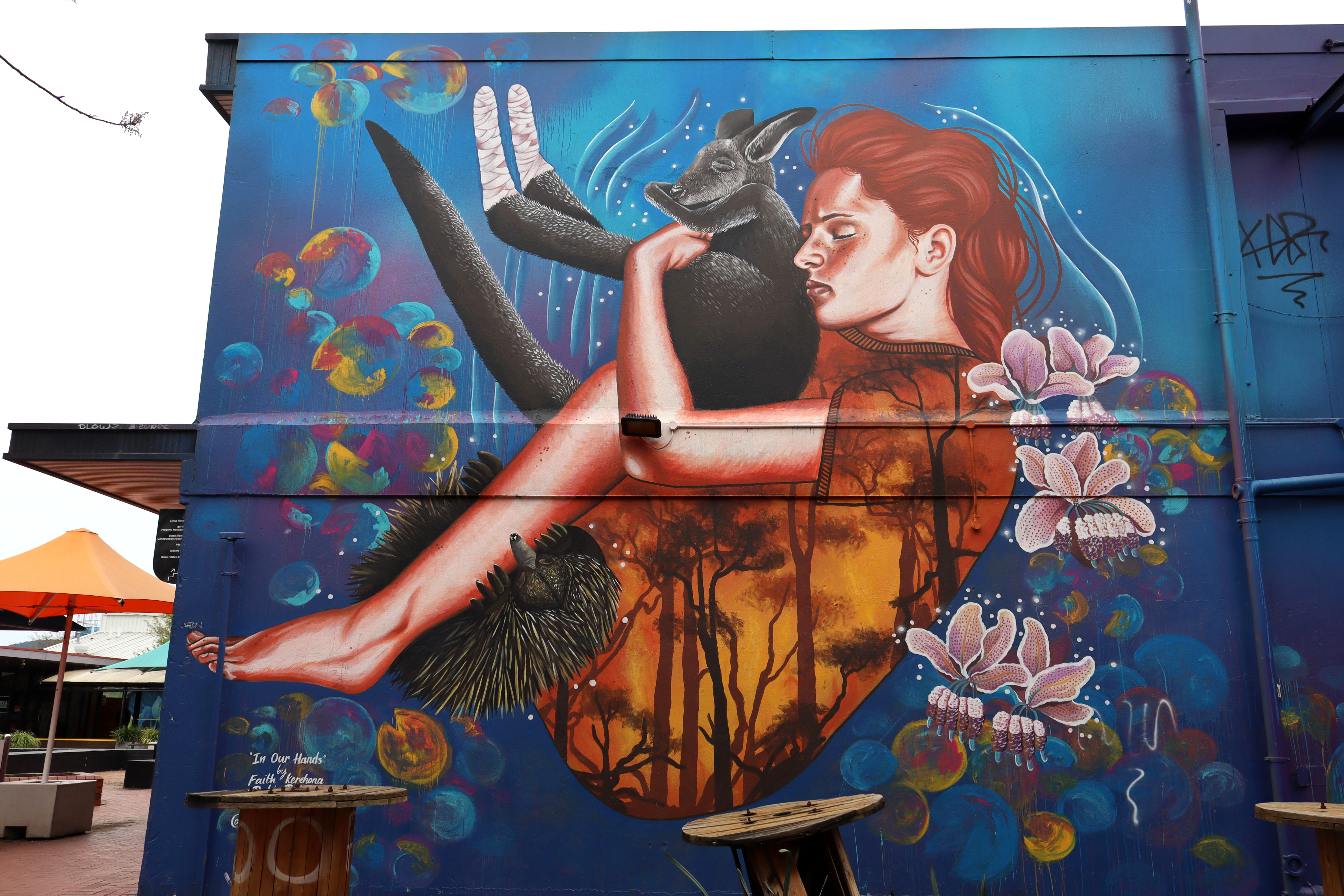 In Our Hands by Bohie | Street Art NSW