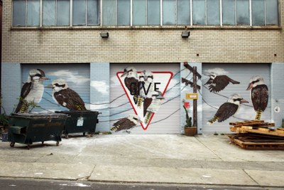 City Feathers