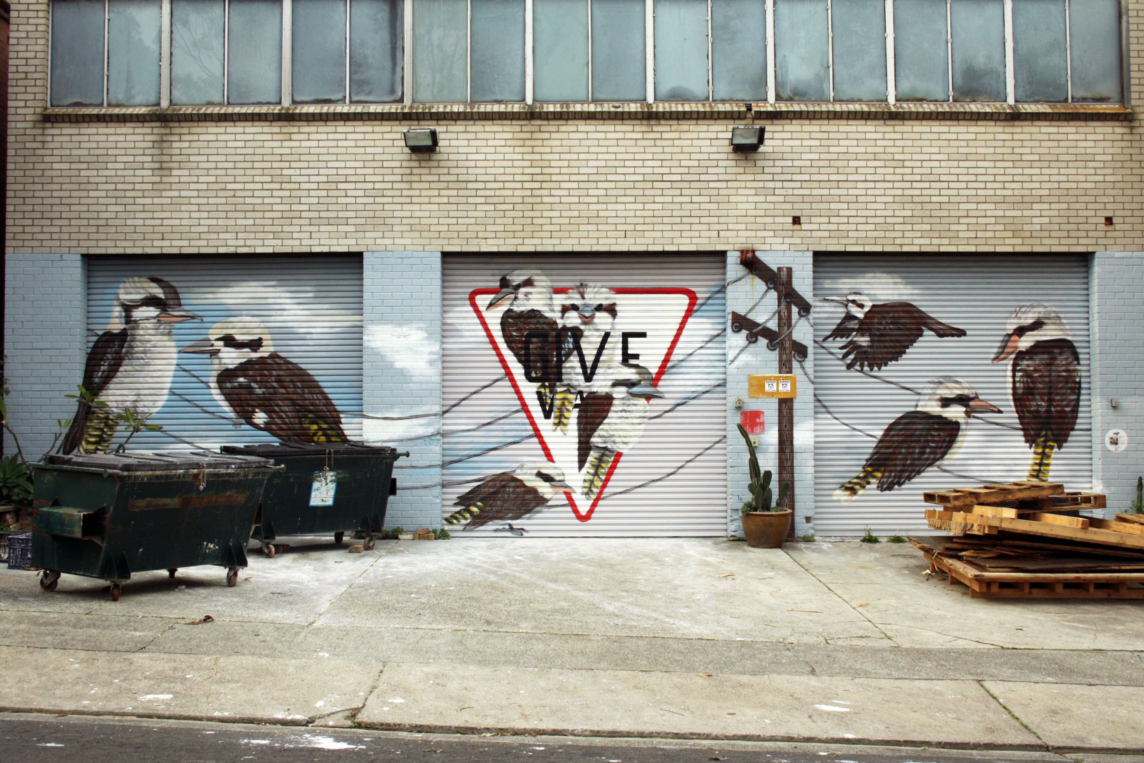 City Feathers