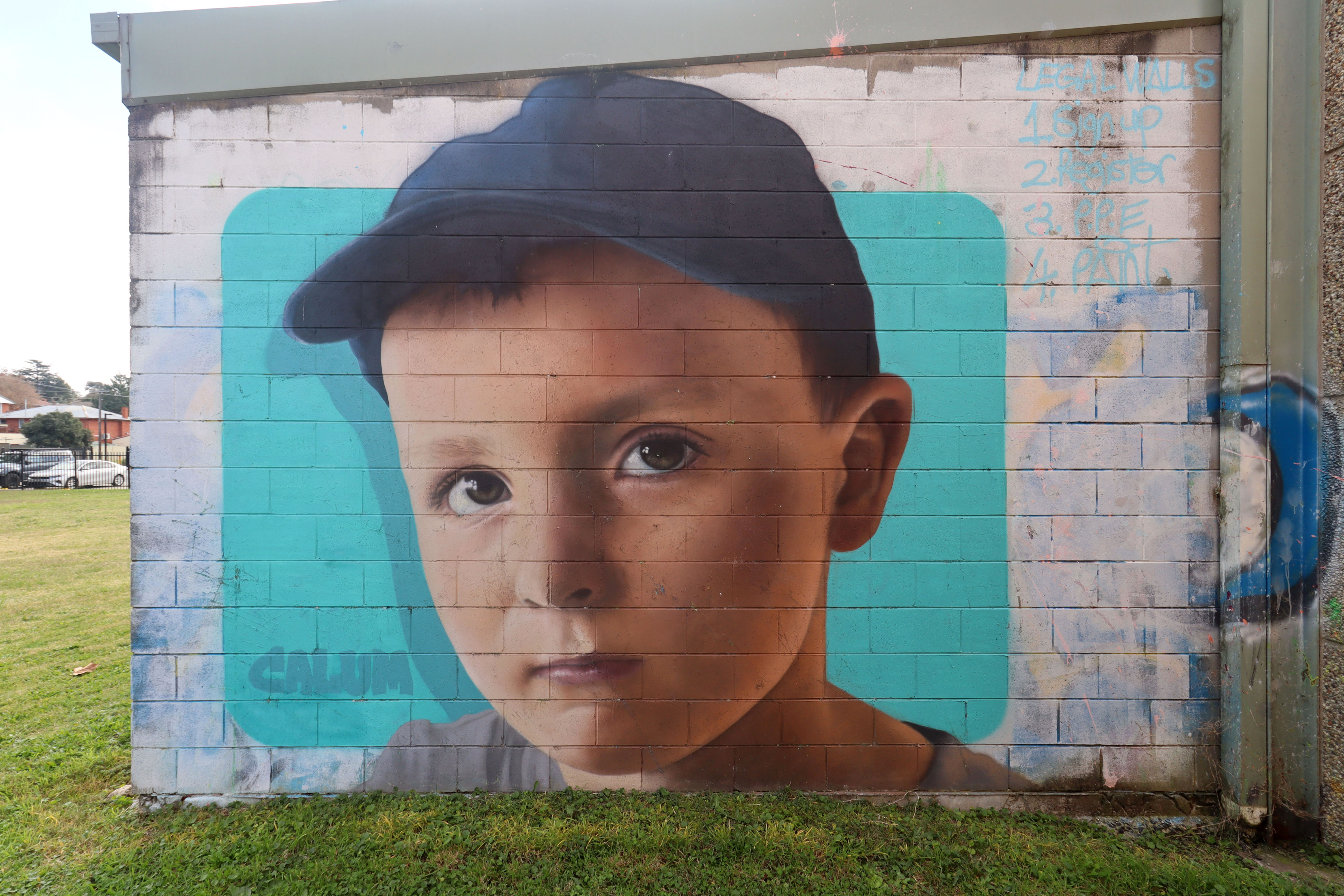 Untitled by Calum Hotham | Street Art NSW