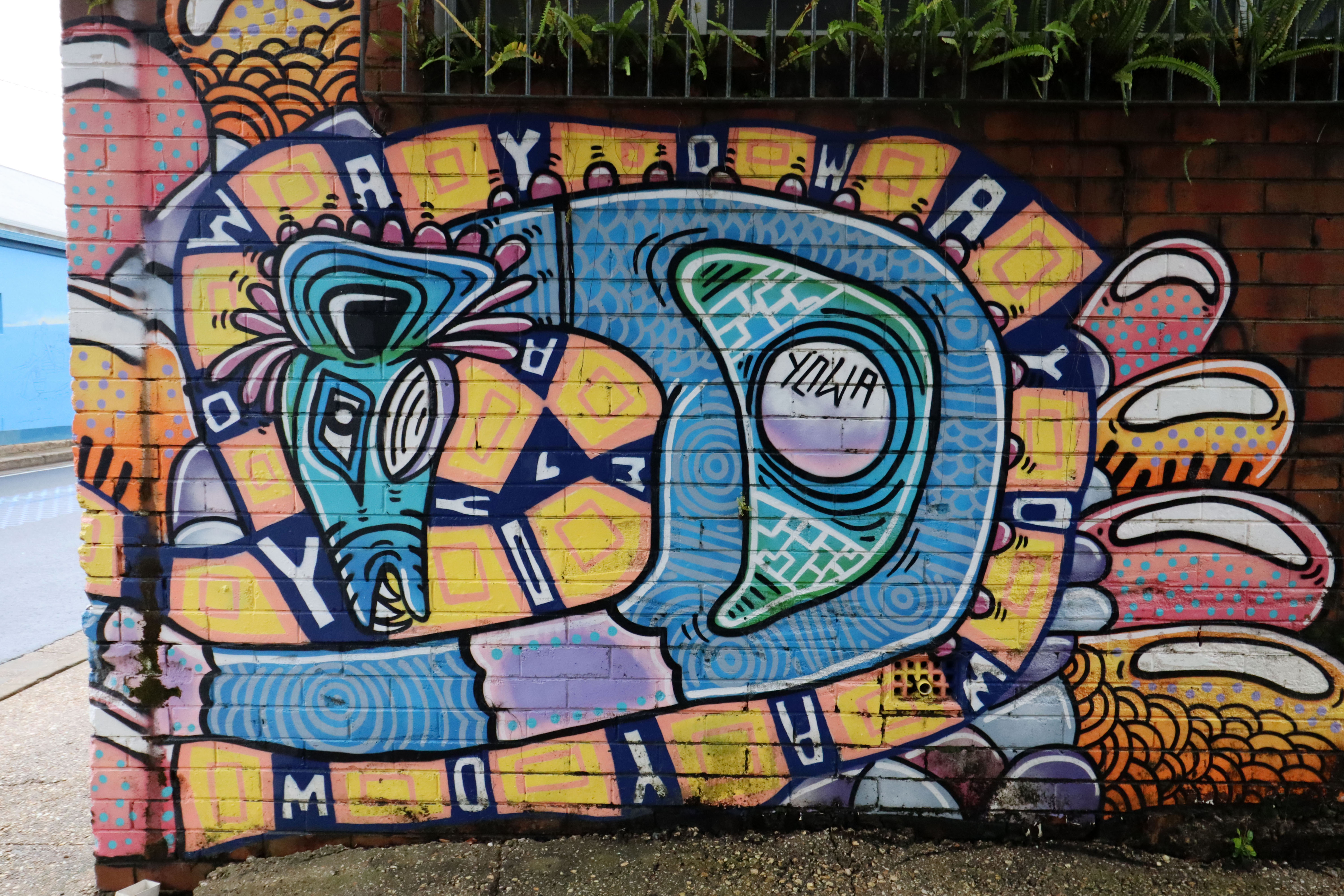 Untitled by YOWA | Street Art NSW
