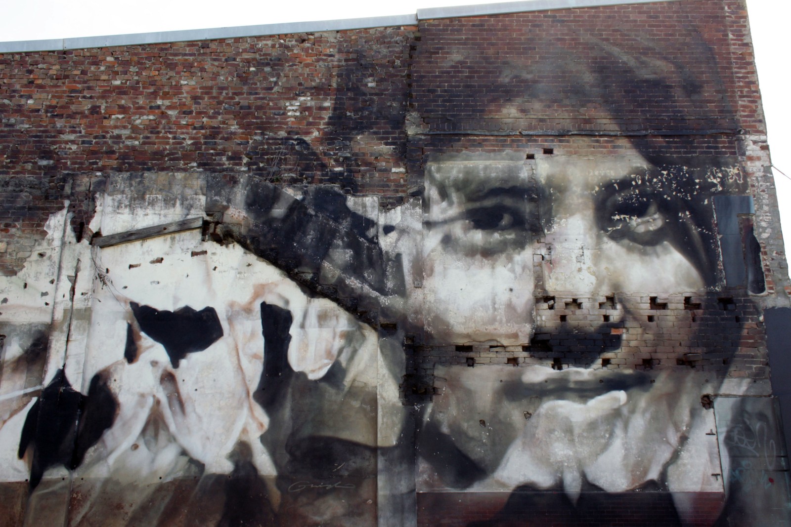 New Australiana II (Wattle) by Guido van Helten | Street Art NSW