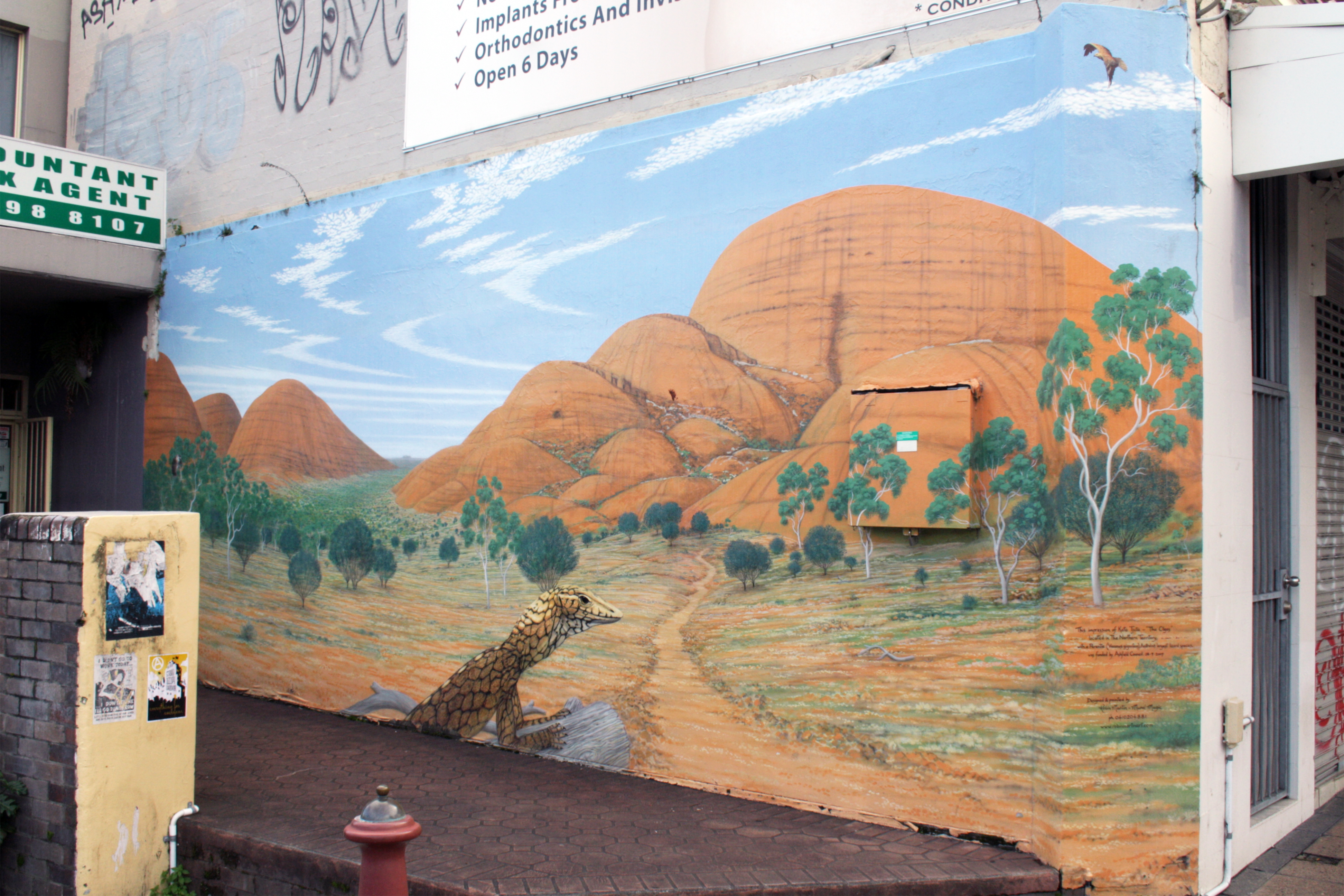 The Olgas by Robin Martin | Street Art NSW