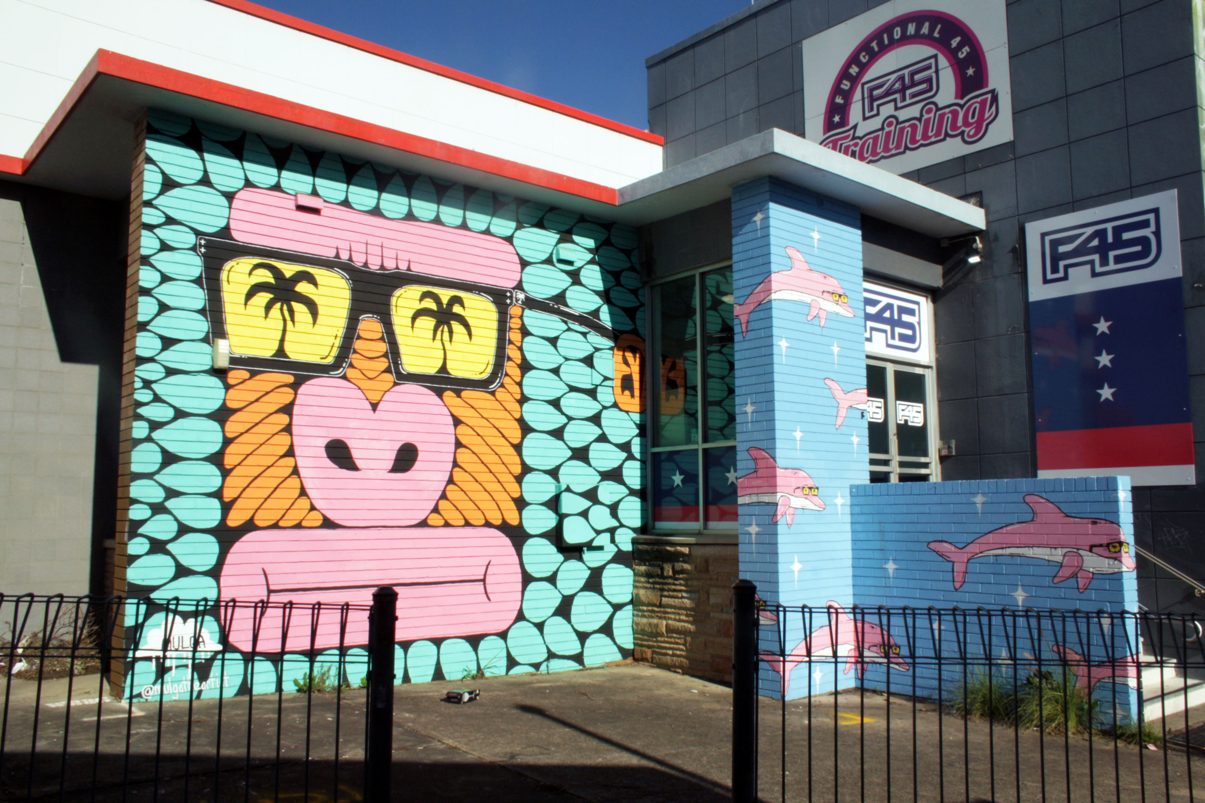 King Kong Carl of Caringbah and the Dolphins