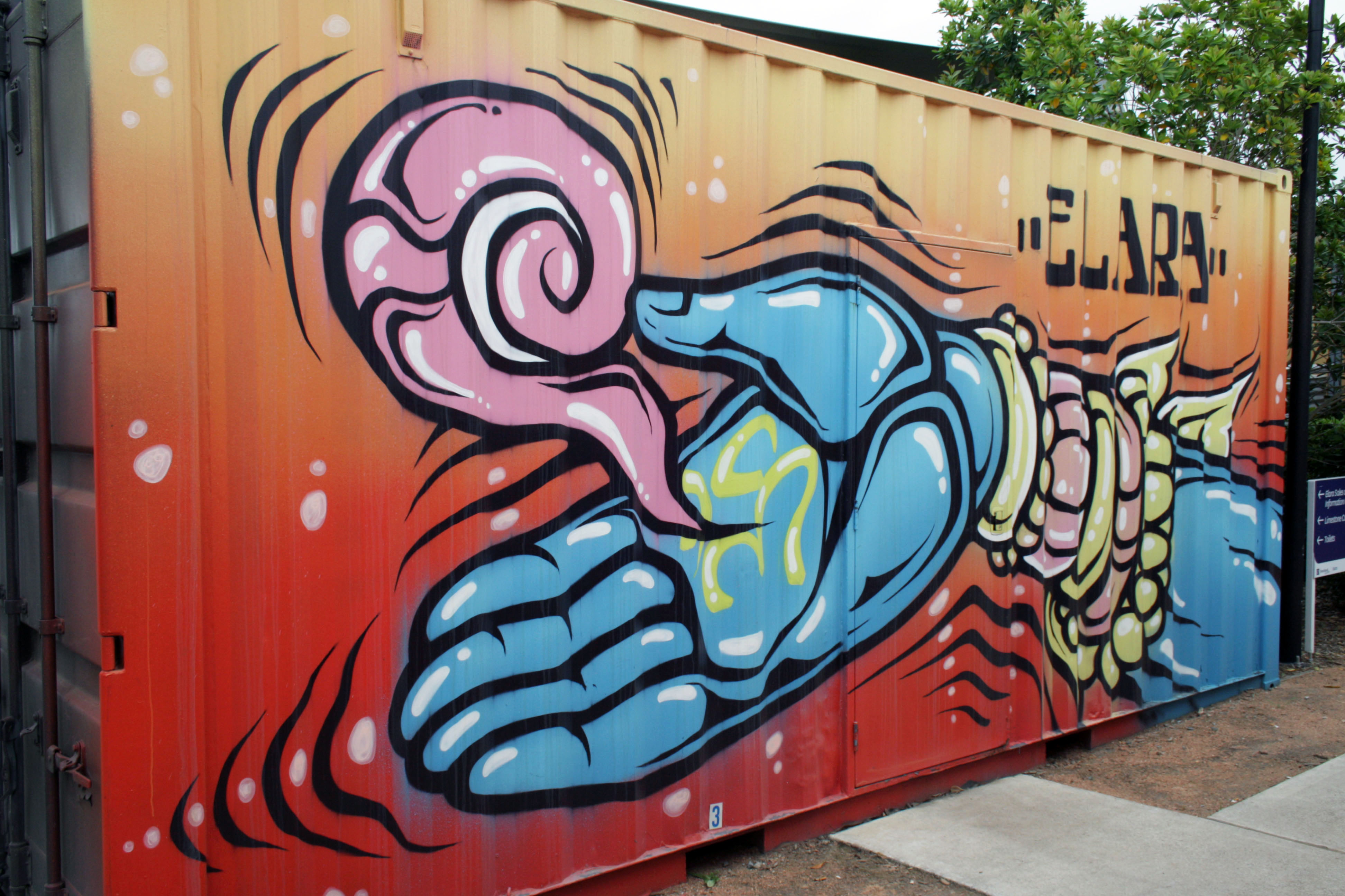 Elara by Phibs | Street Art NSW