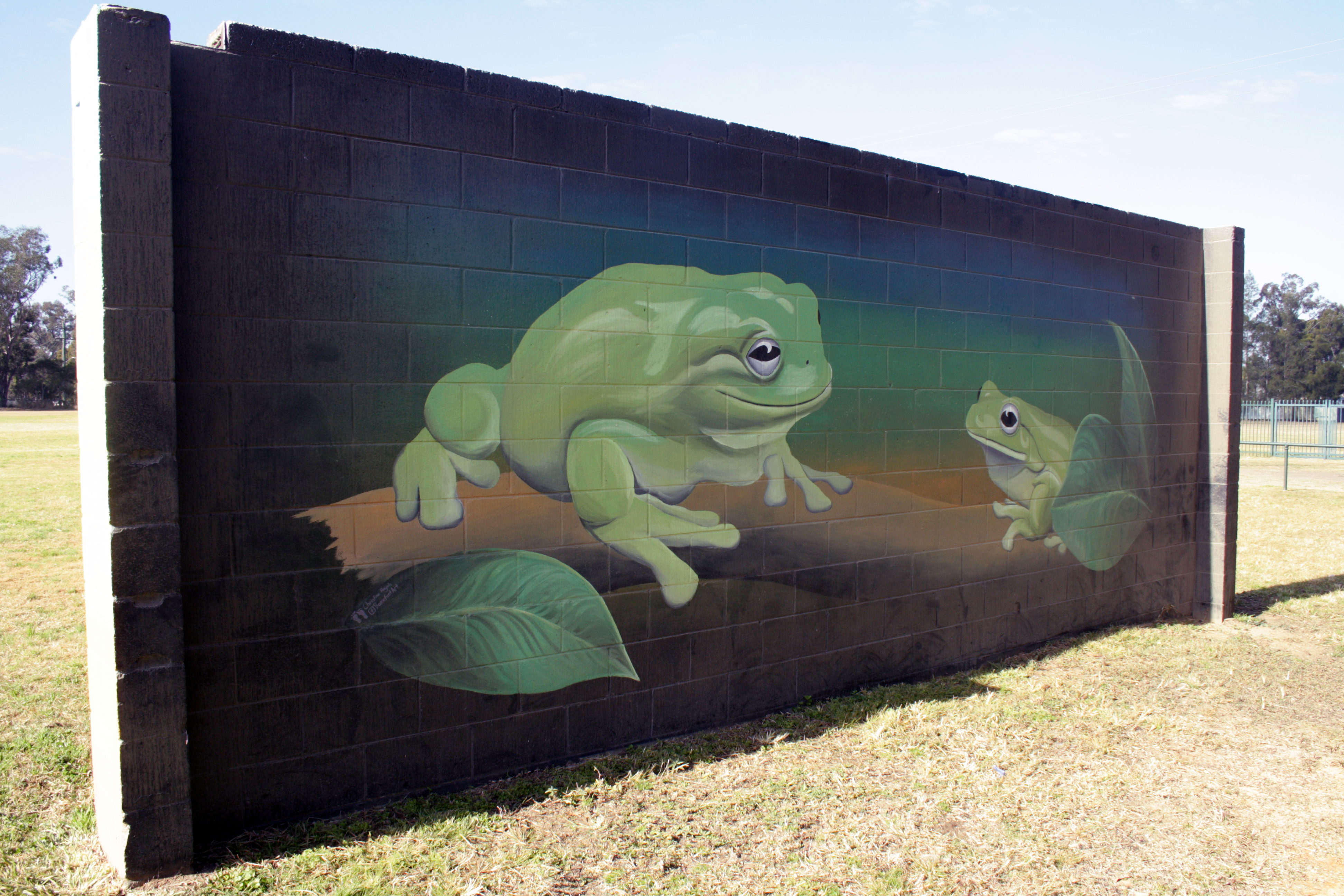 Untitled by Barefeet Art | Street Art NSW