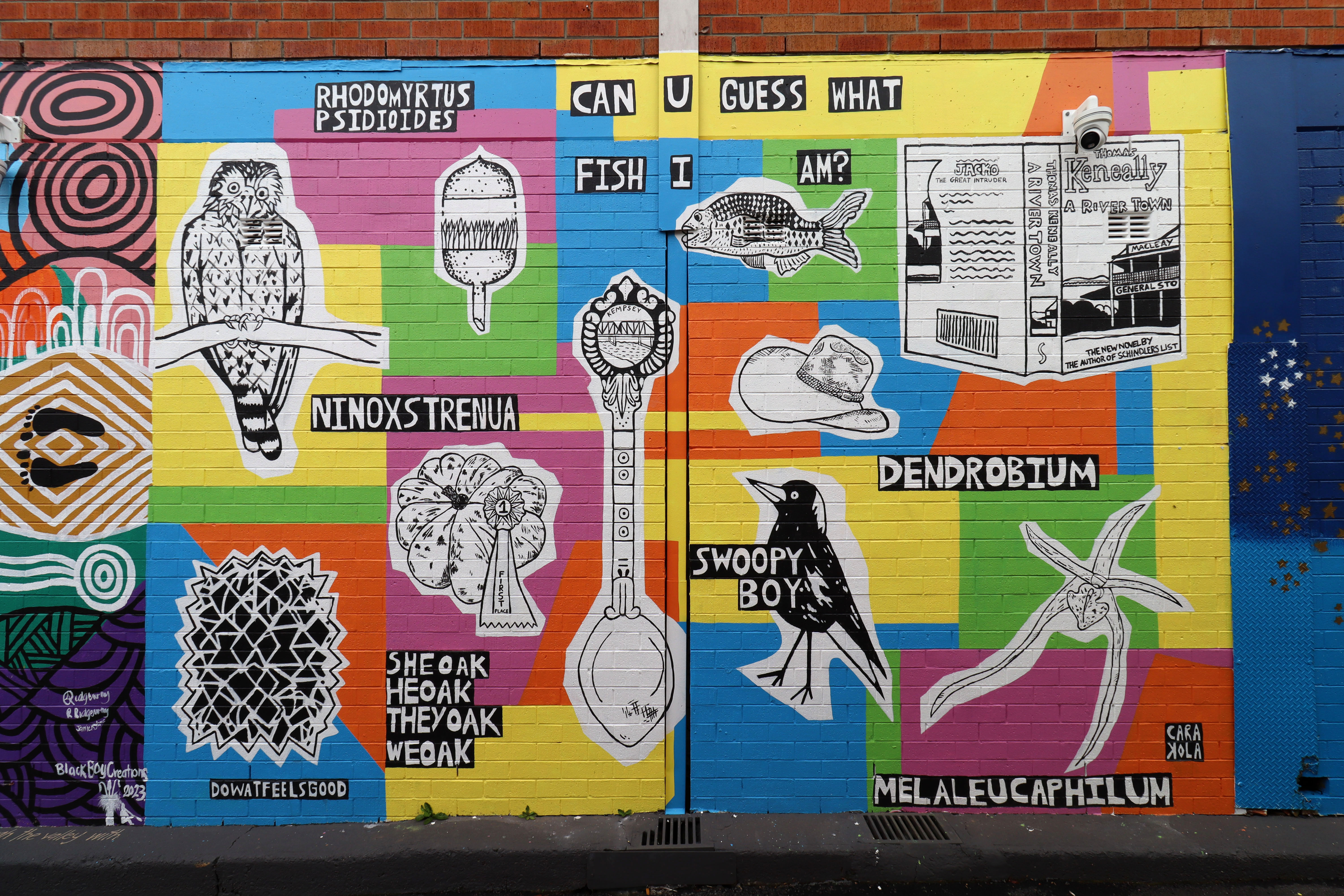 All Things Kempsey by Carakola | Street Art NSW