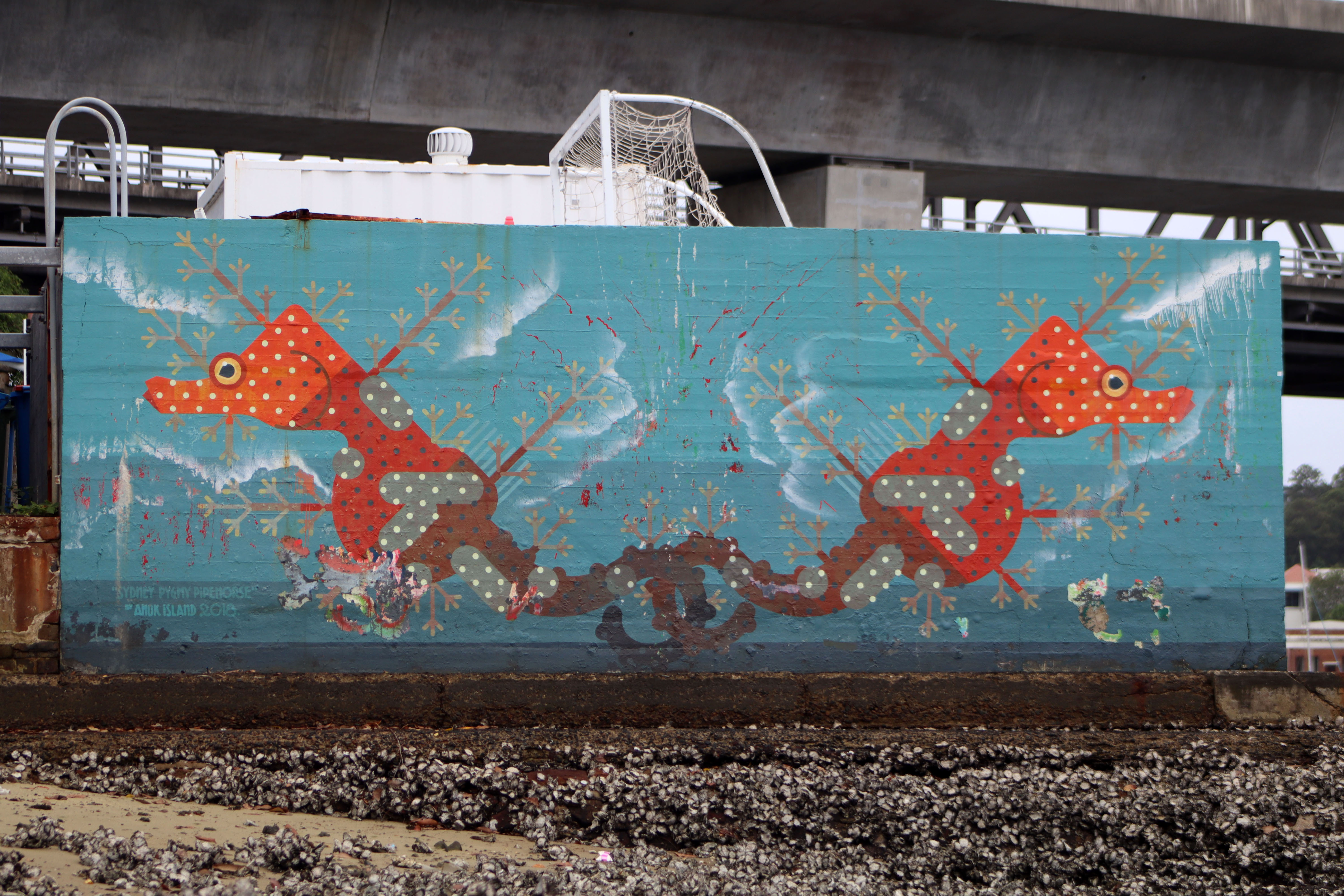Sydney Pygmy Pipehorse (Idiotropiscis lumnitzeri) by Amok Island | Street Art NSW
