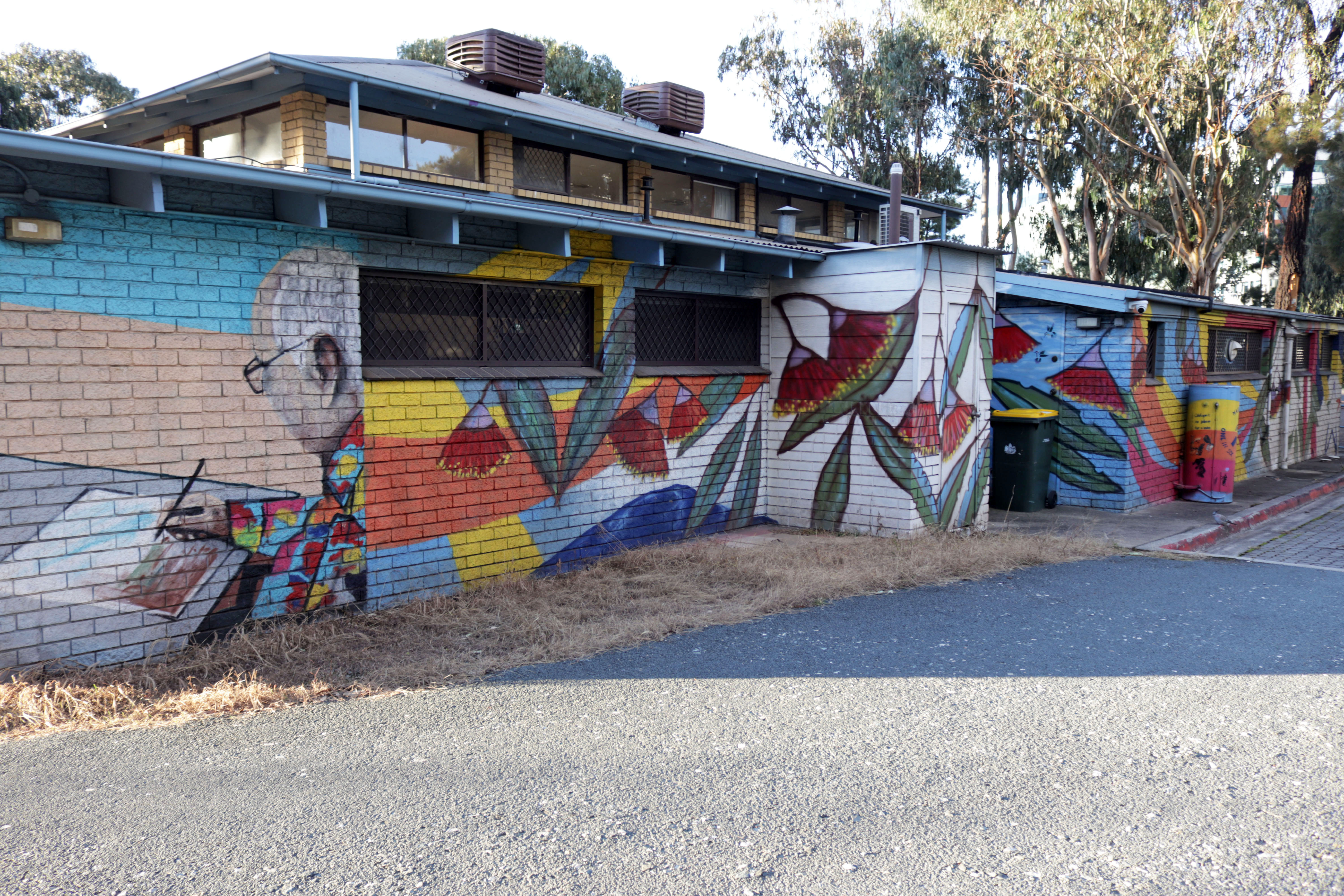 Woden Seniors by Dai Cameron | Street Art NSW