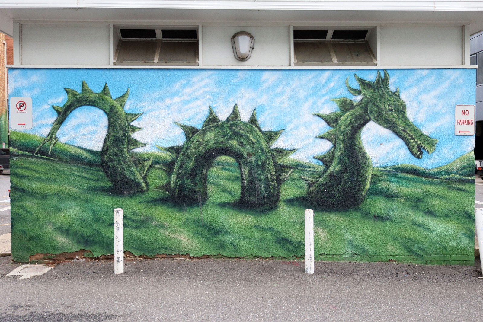Untitled by Byrd | Street Art NSW
