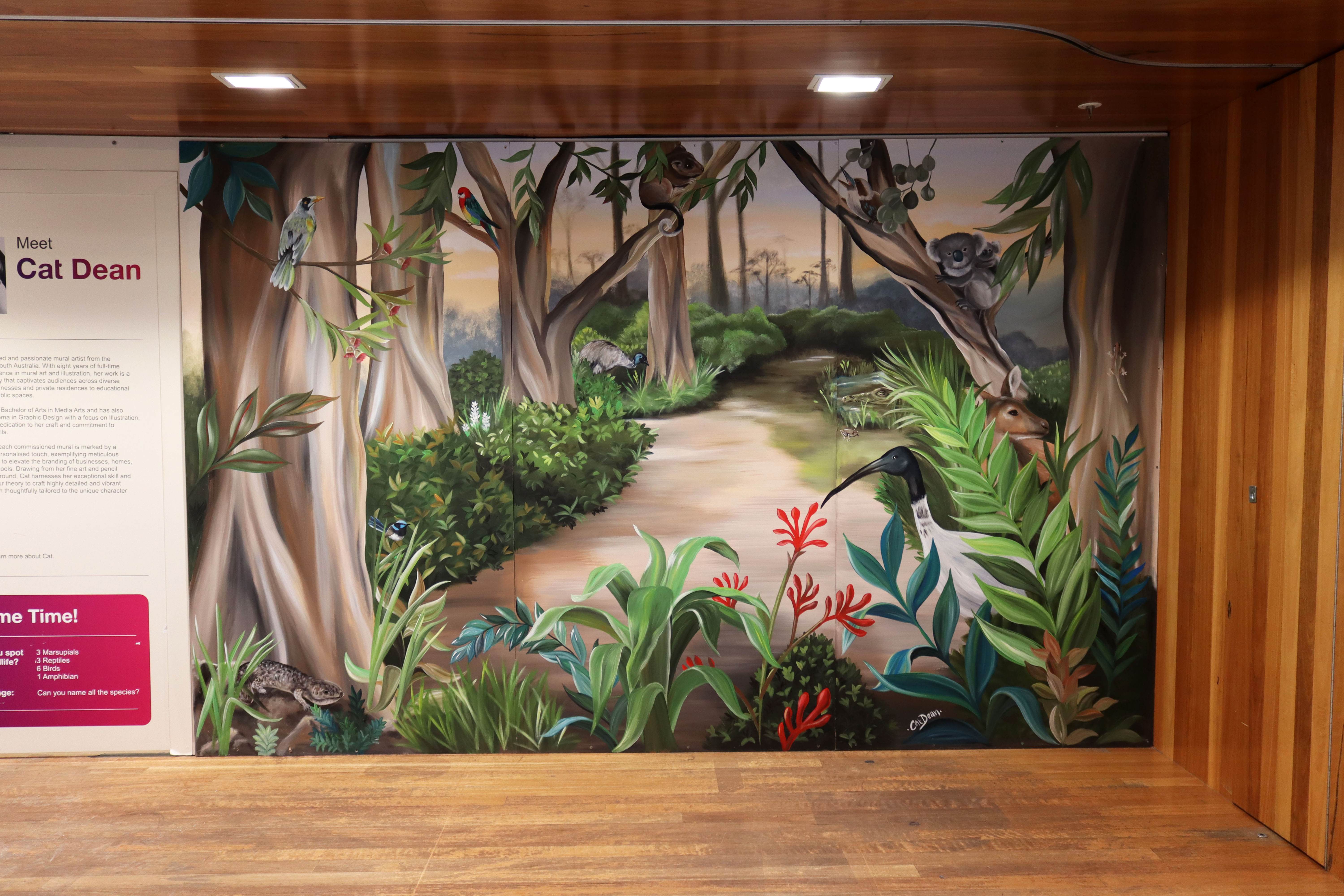 Untitled by Cat Dean | Street Art NSW