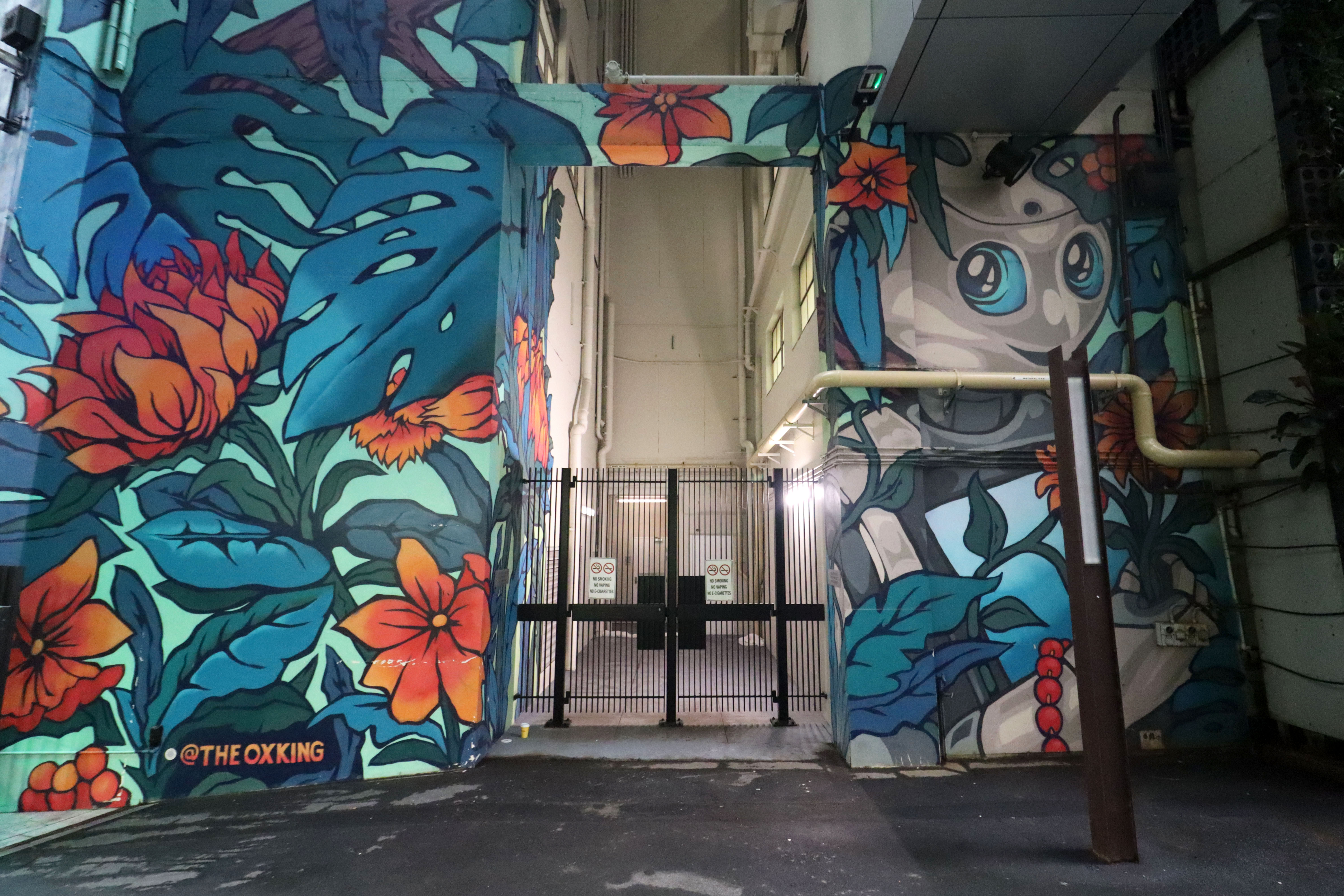 Untitled by The OX King | Street Art NSW