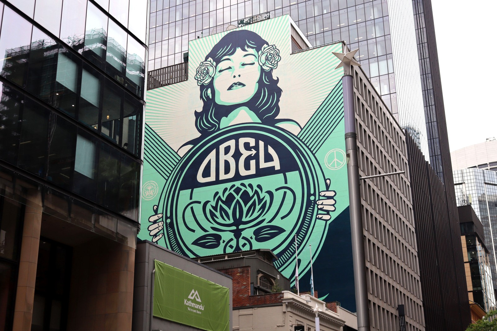 The Peace Waratah by Shepard Fairey | Street Art NSW