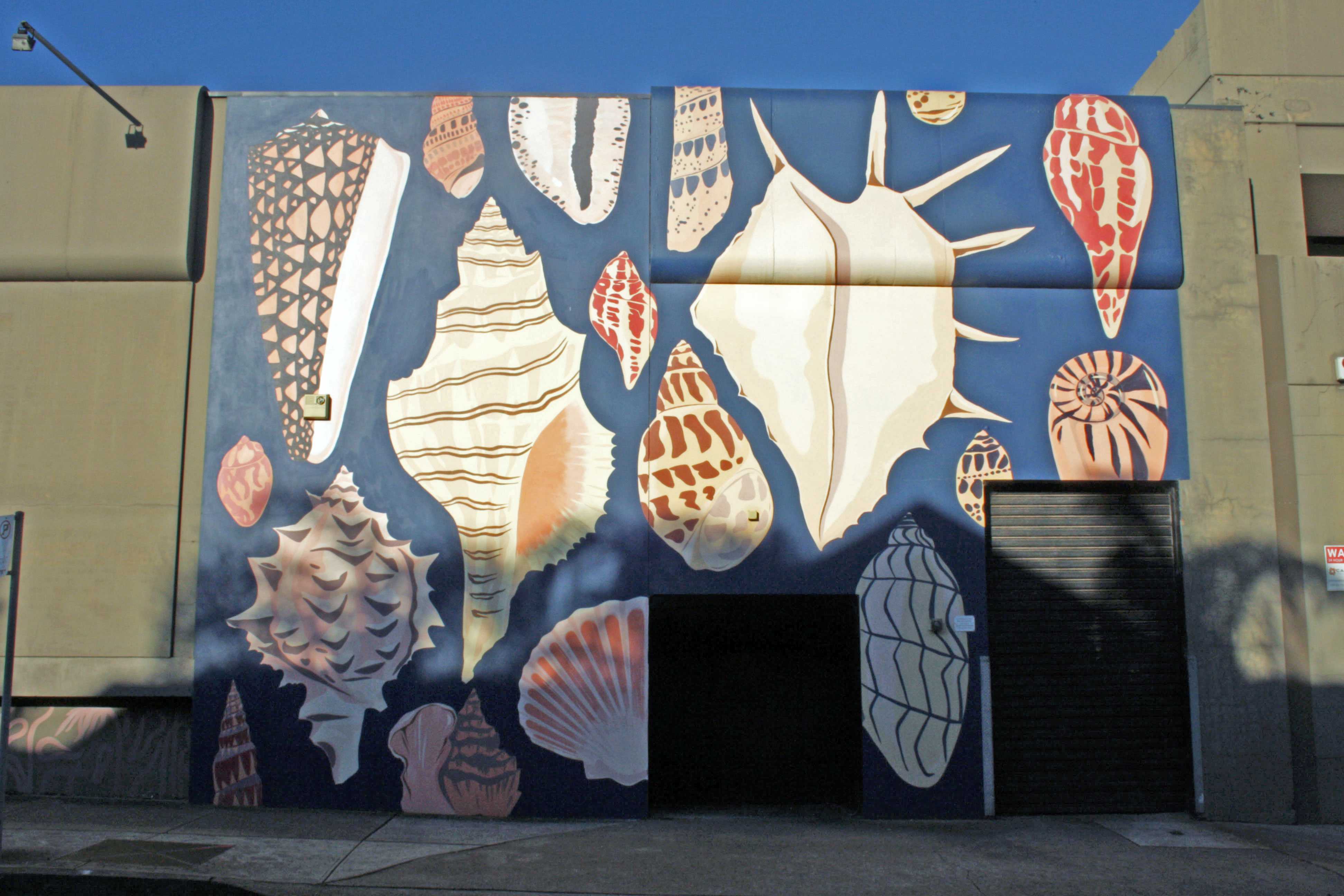 Place of the Pink Seashells