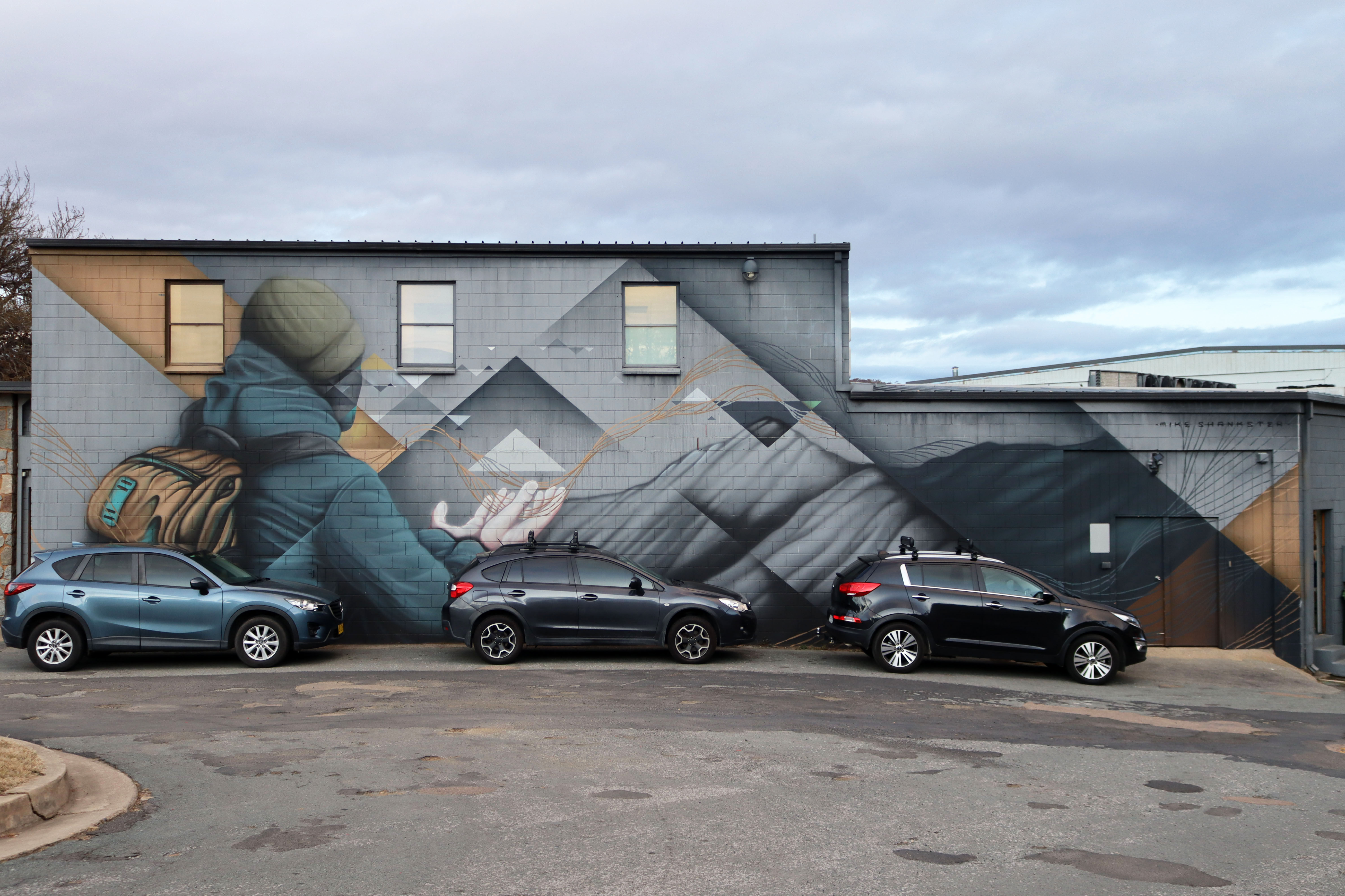 Sentinel by Mike Shankster | Street Art NSW