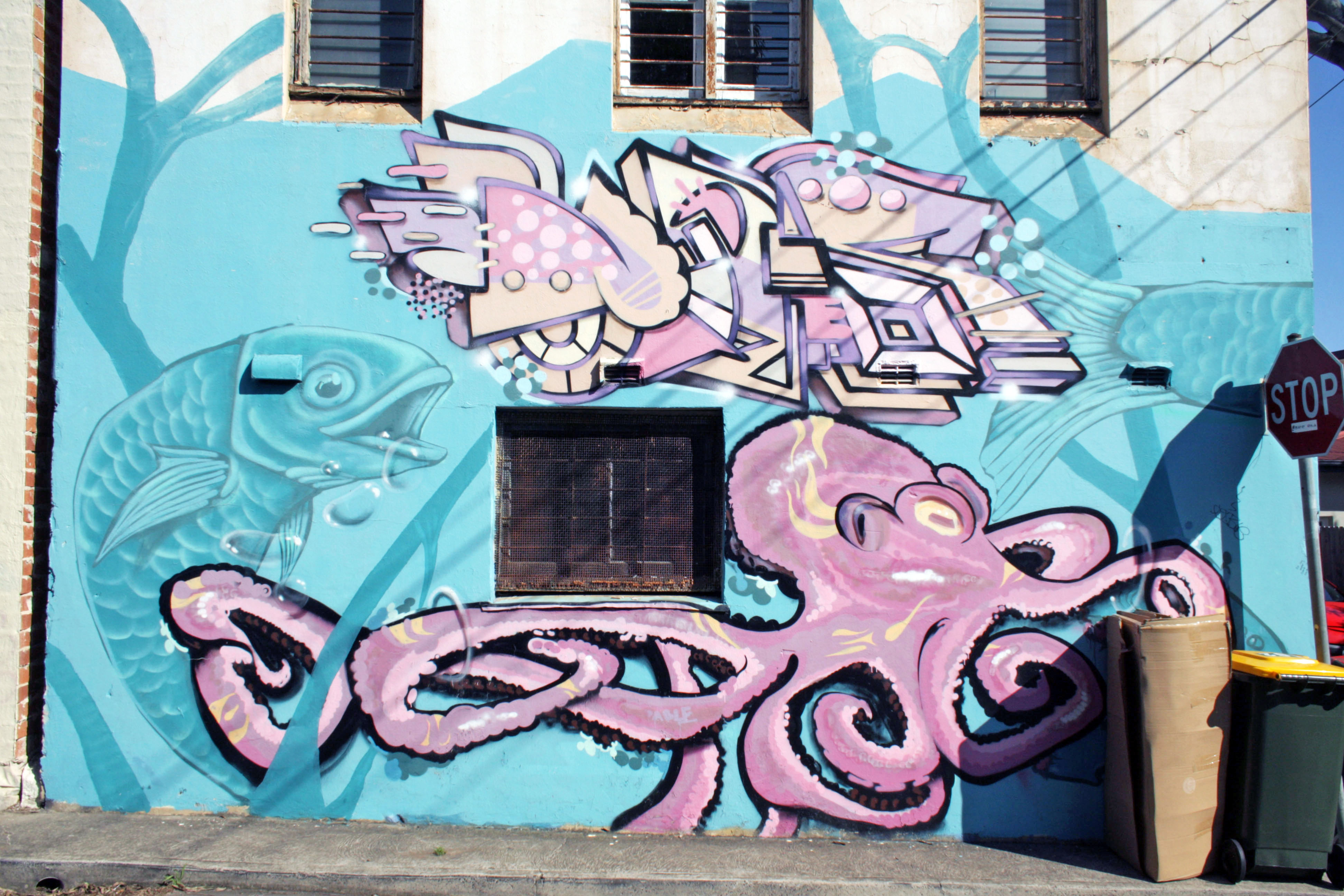 Untitled by Scott Nagy | Street Art NSW