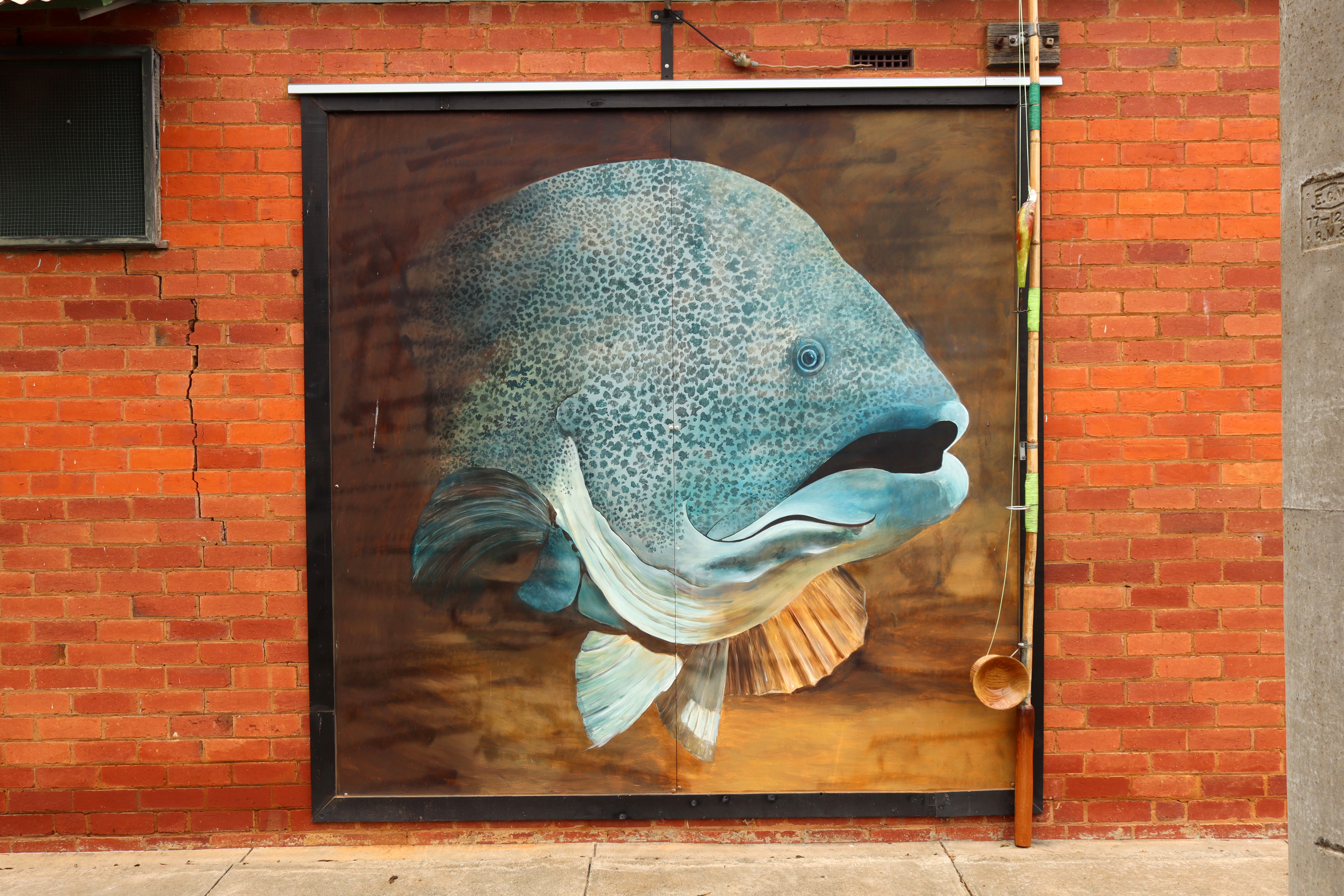 Murray Cod | Street Art NSW
