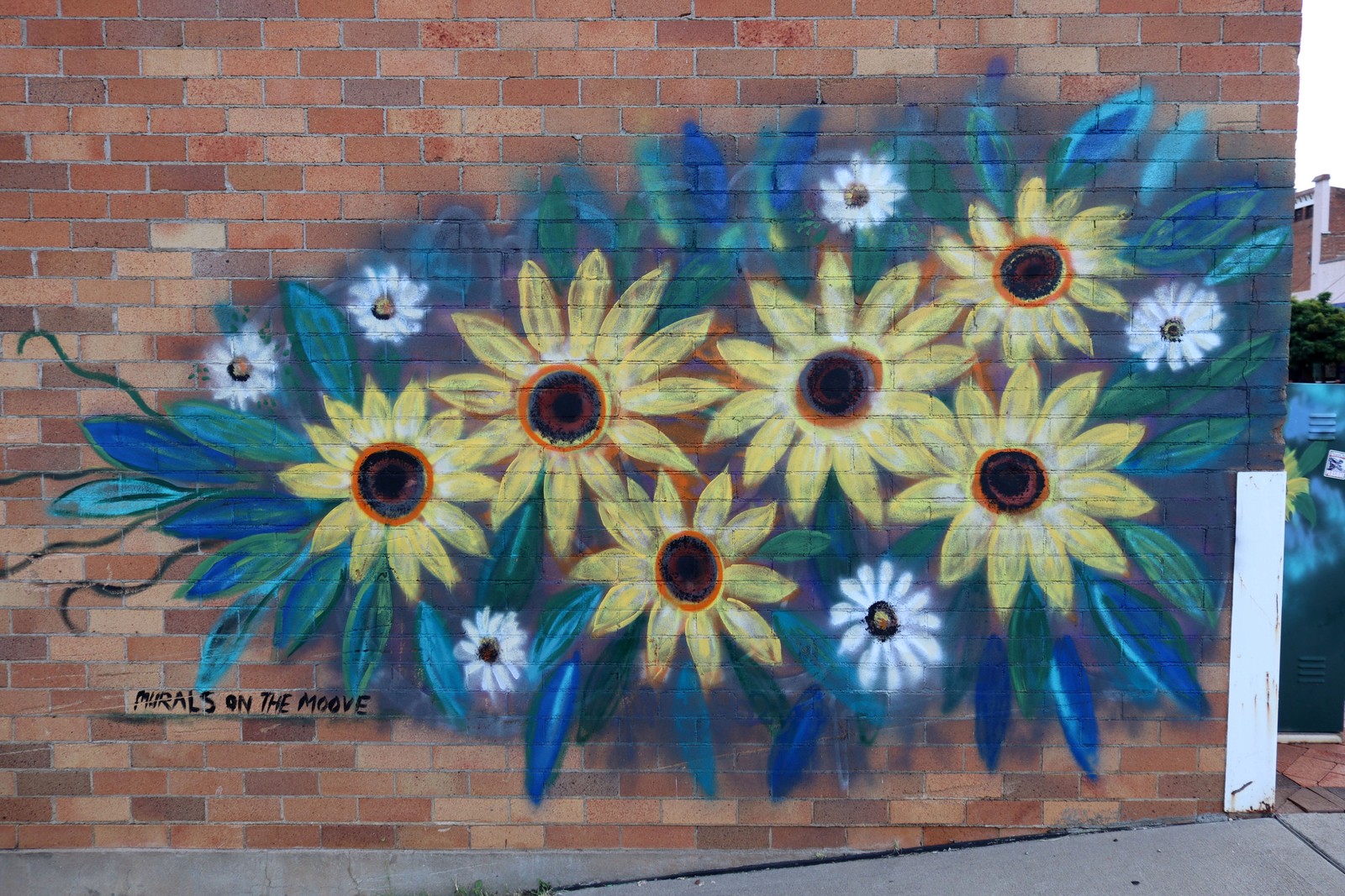 Untitled by Murals on the Moove | Street Art NSW