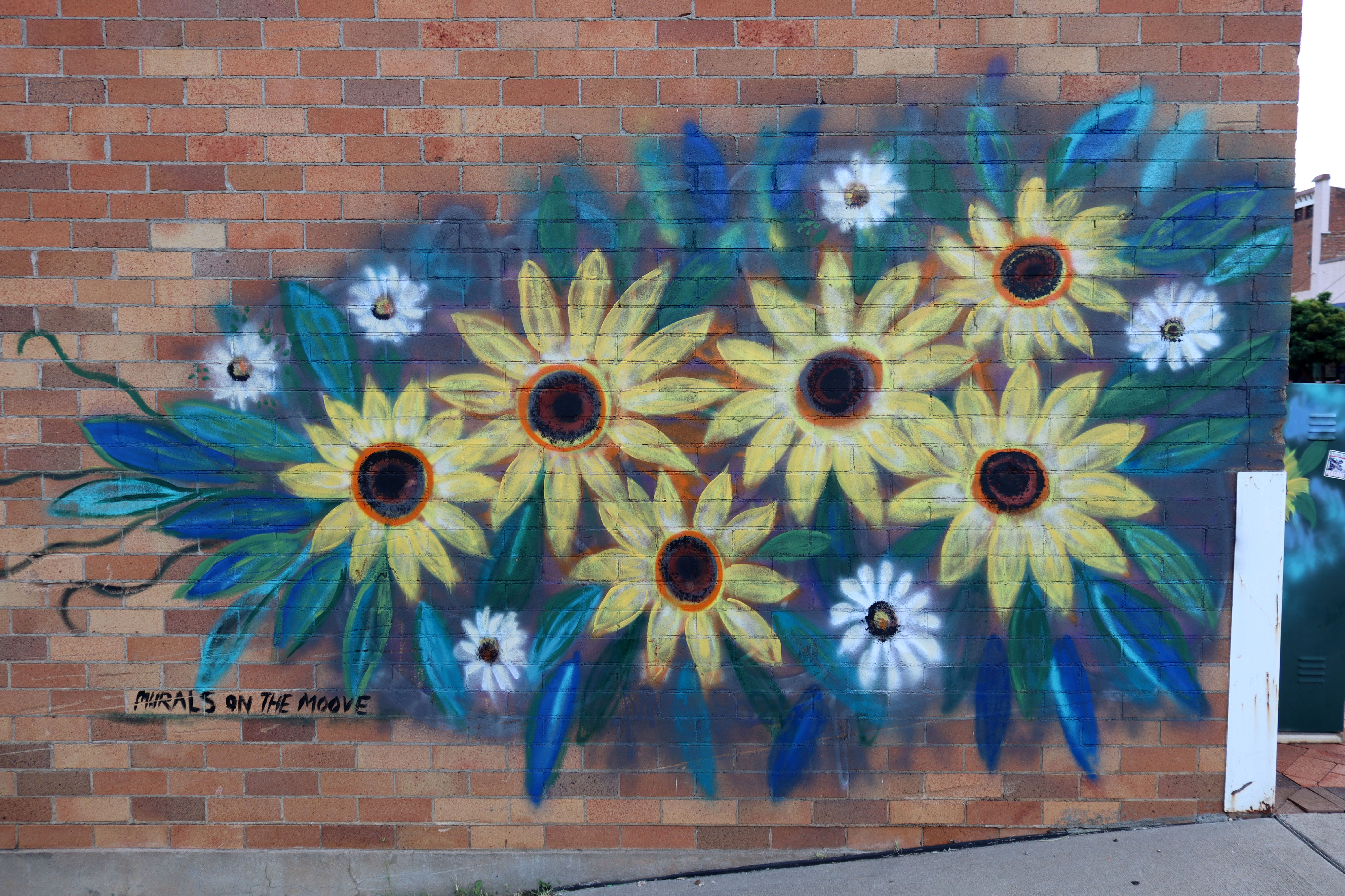 Untitled by Murals on the Moove | Street Art NSW