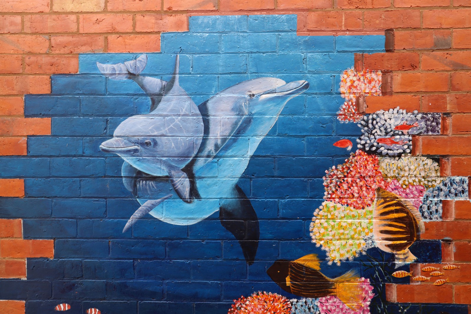 Untitled | Street Art NSW