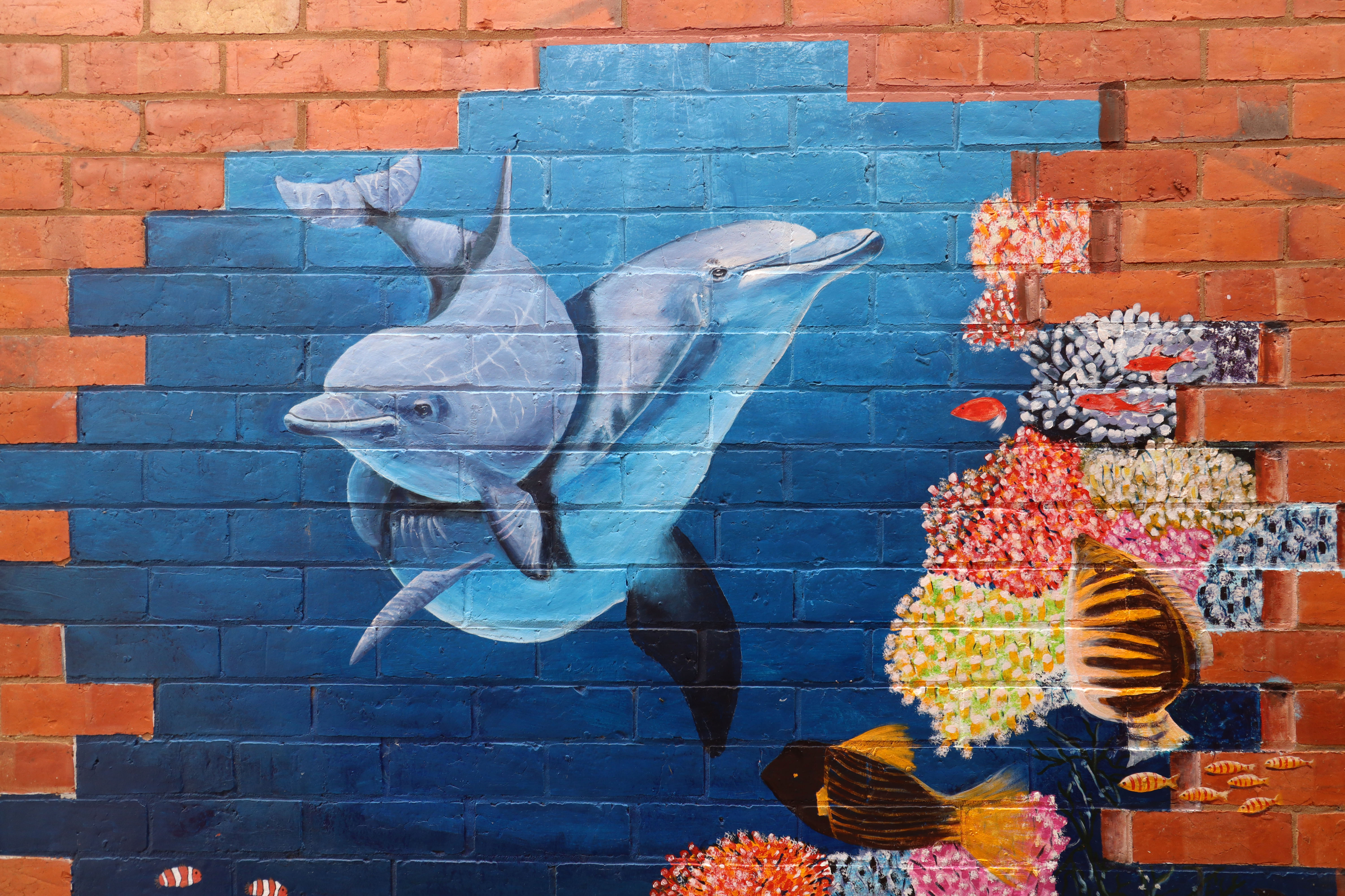 Untitled | Street Art NSW