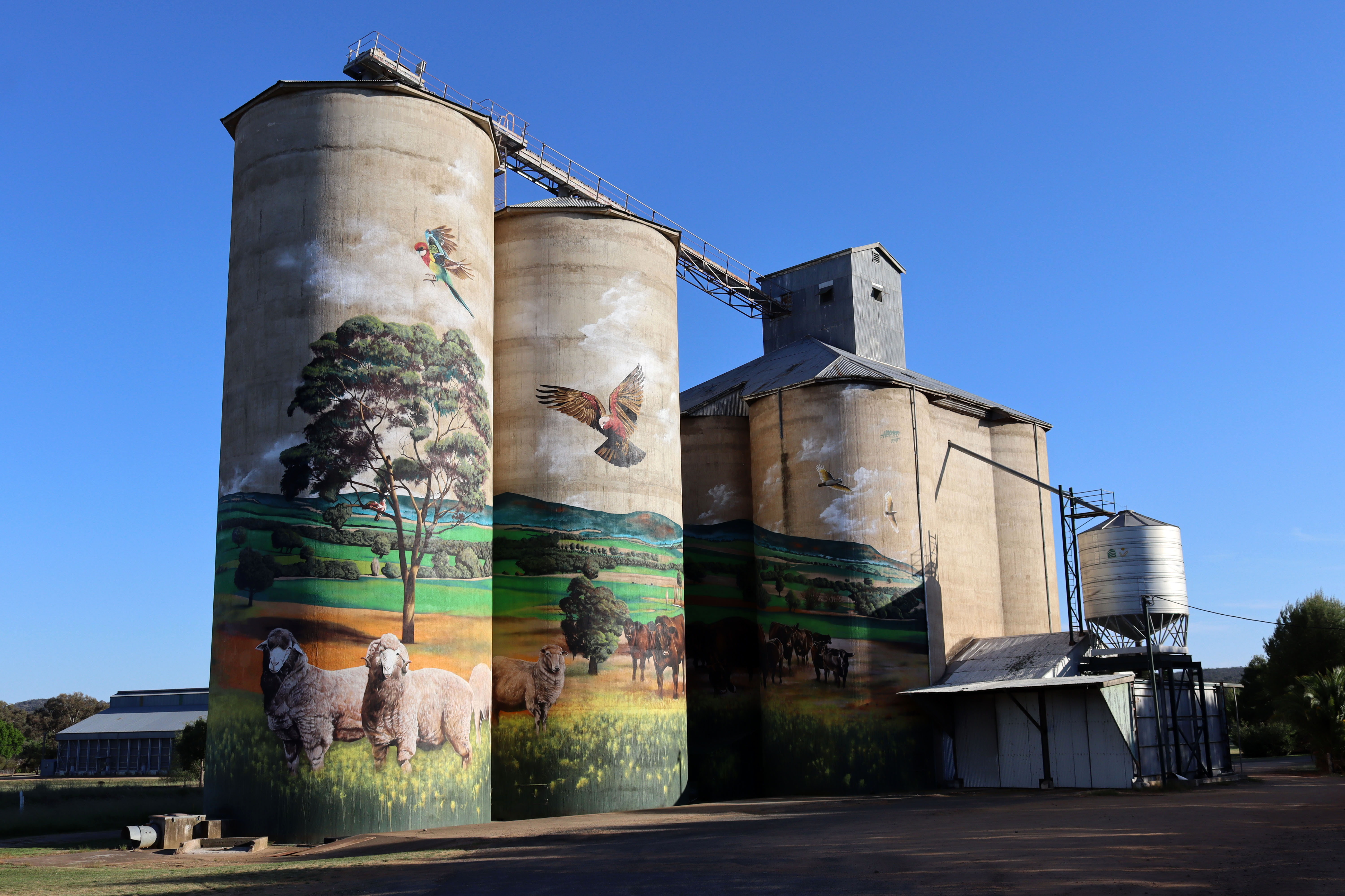 Grenfell Silo Artwork by Heesco | Street Art NSW