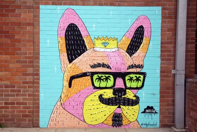 King Andre the French Bulldog