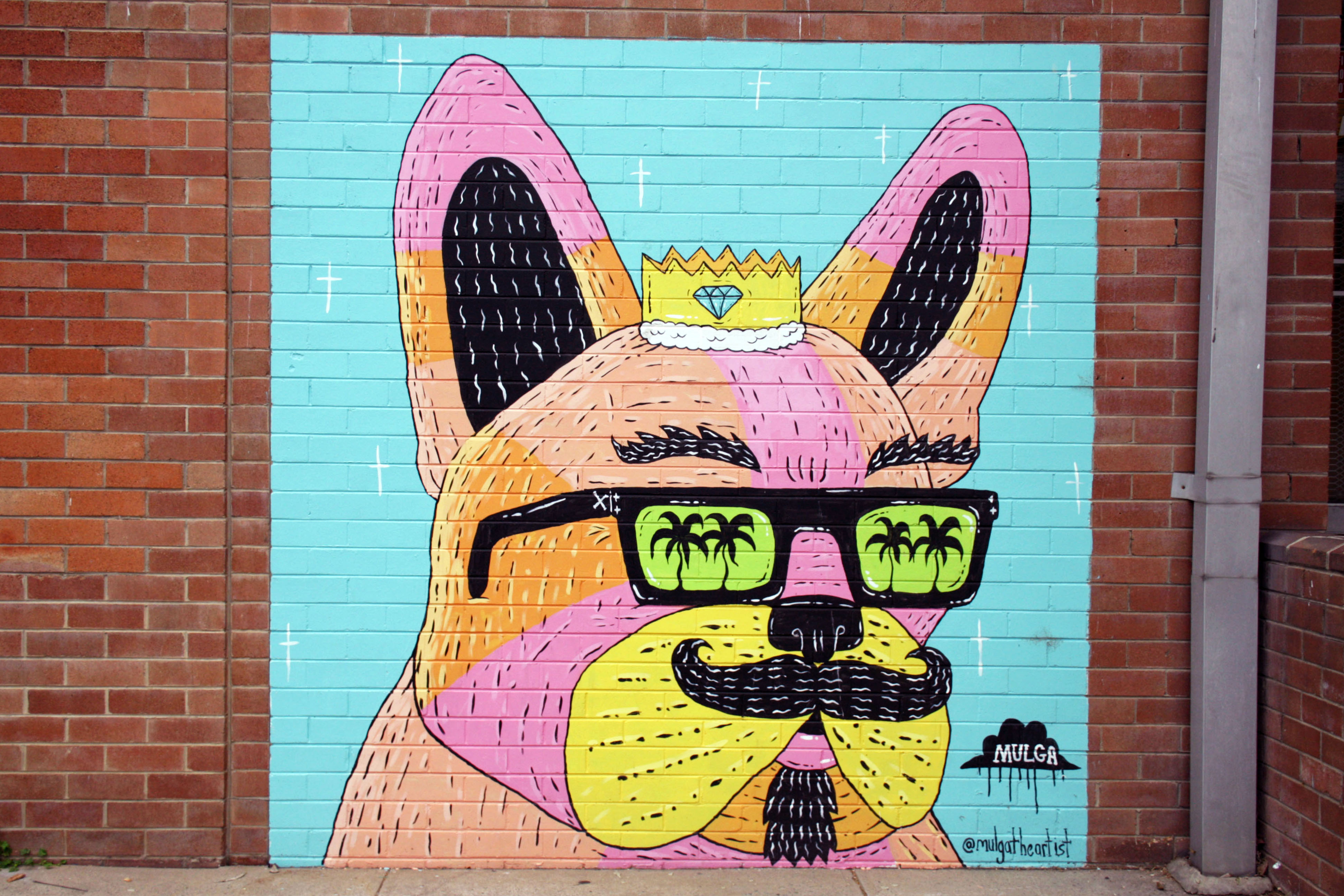 King Andre the French Bulldog by Mulga | Street Art NSW