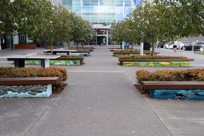 South Island Murals