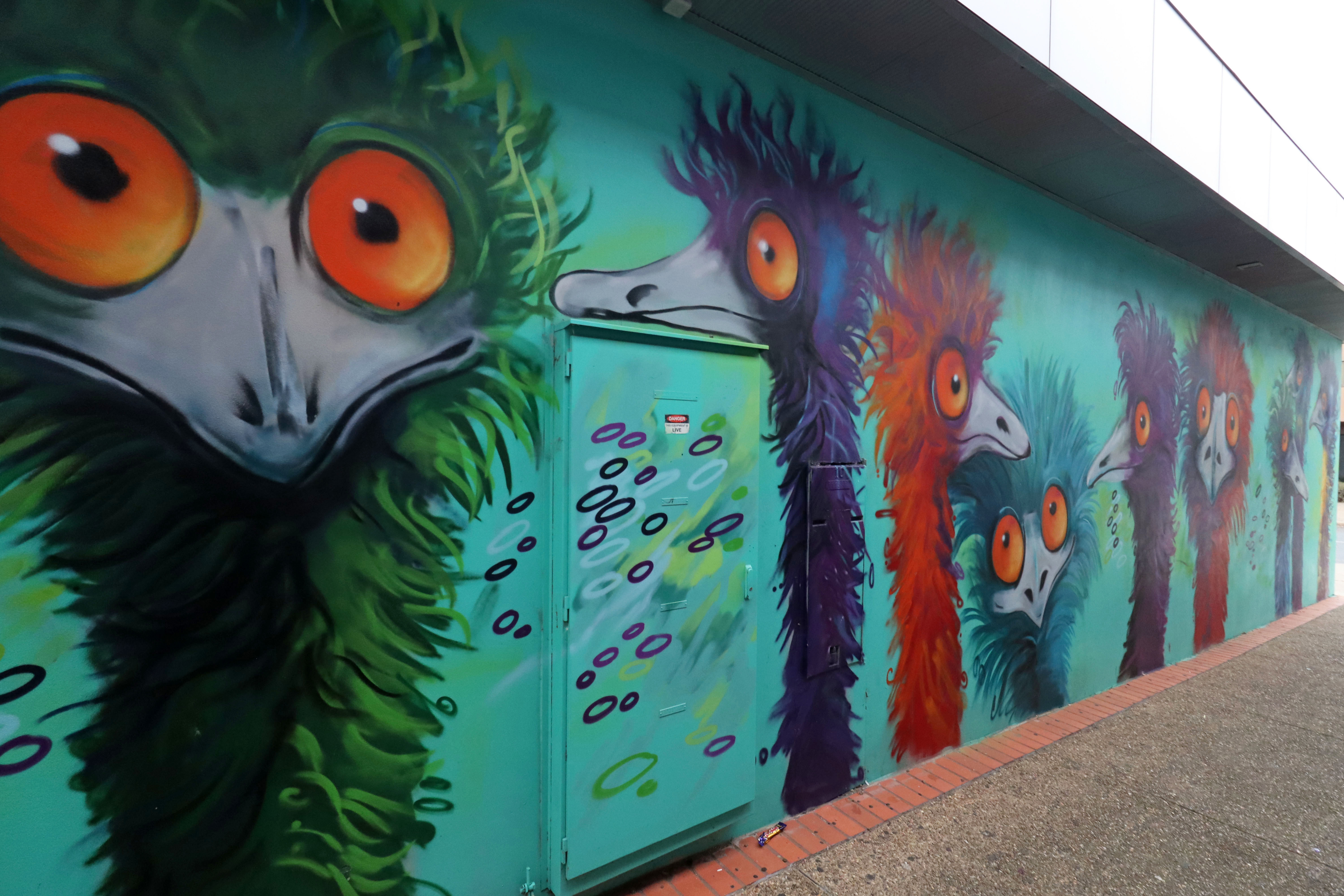 Emus by GraffikPaint | Street Art NSW