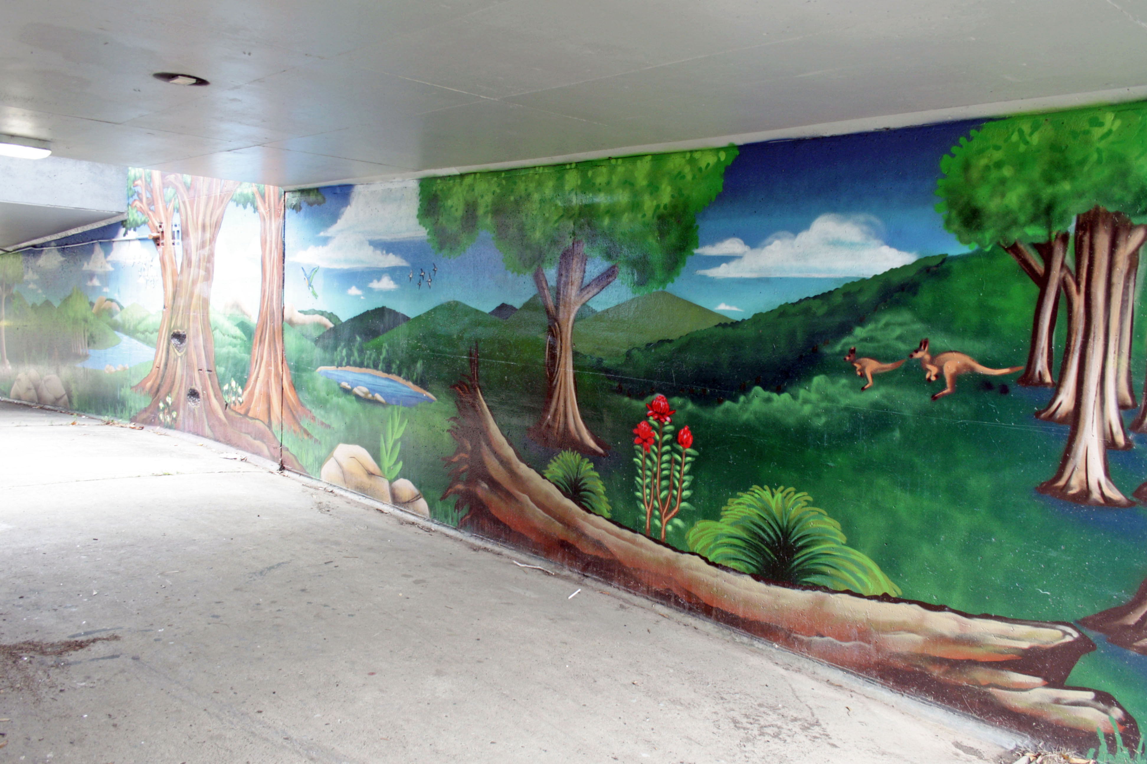 Untitled by Ian Ballesteros | Street Art NSW