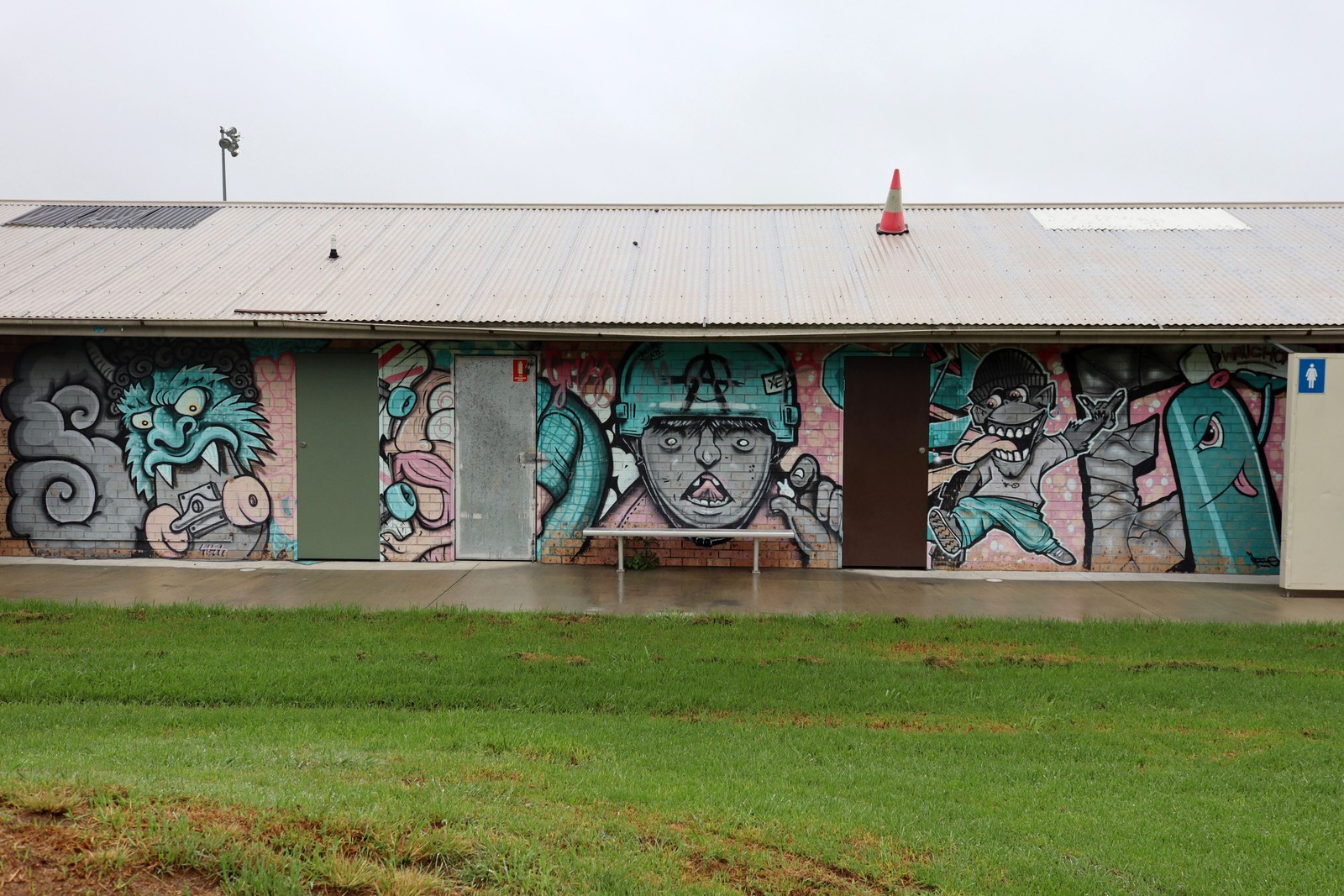 Wauchope Skate Park by Le Grizz | Street Art NSW