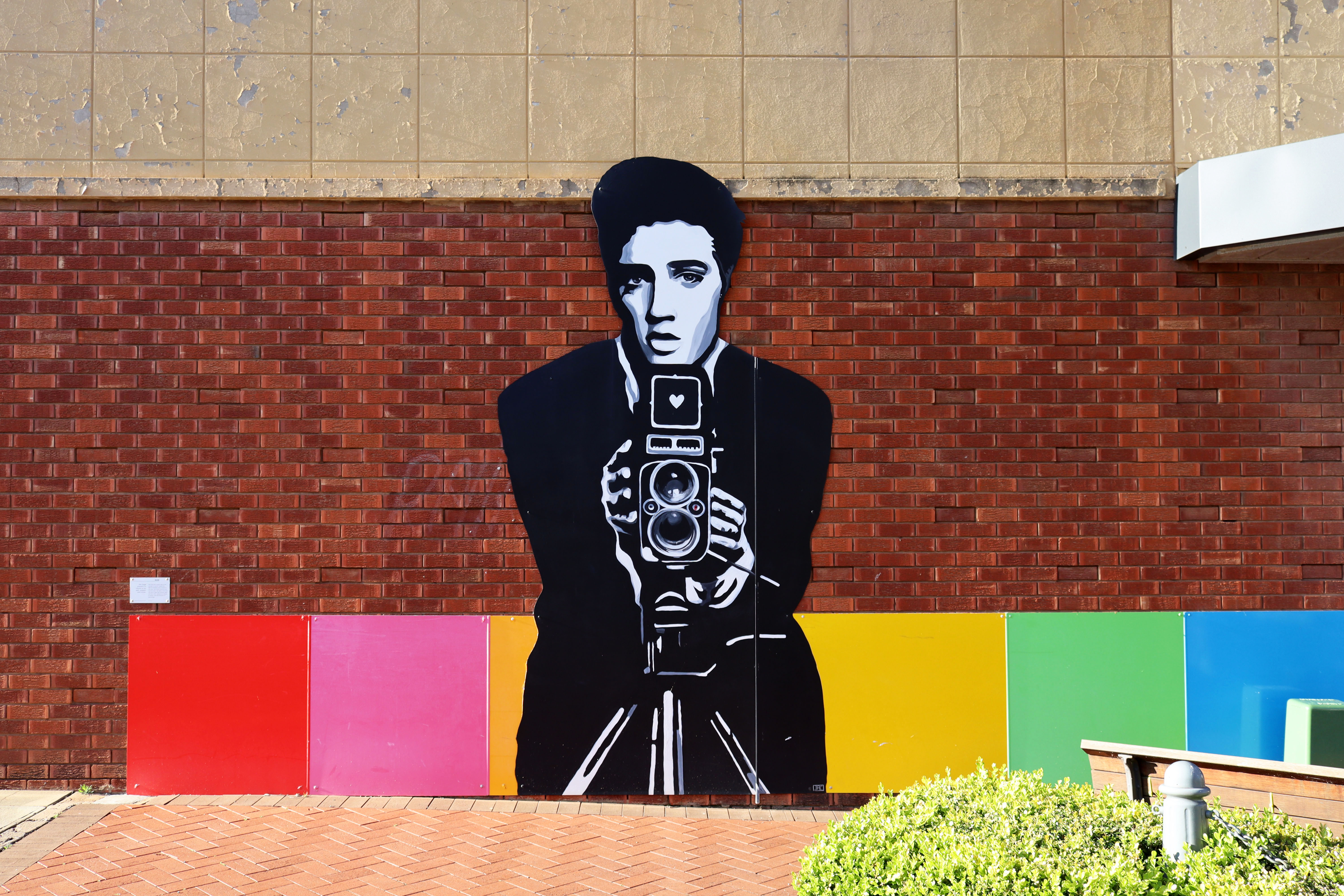 Elvis