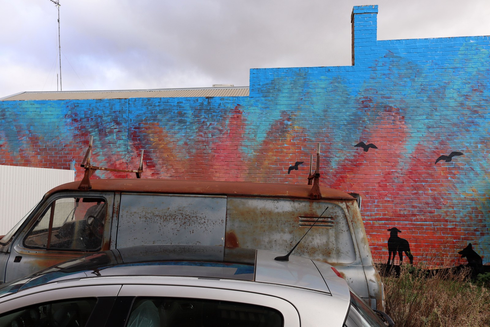 Untitled | Street Art NSW