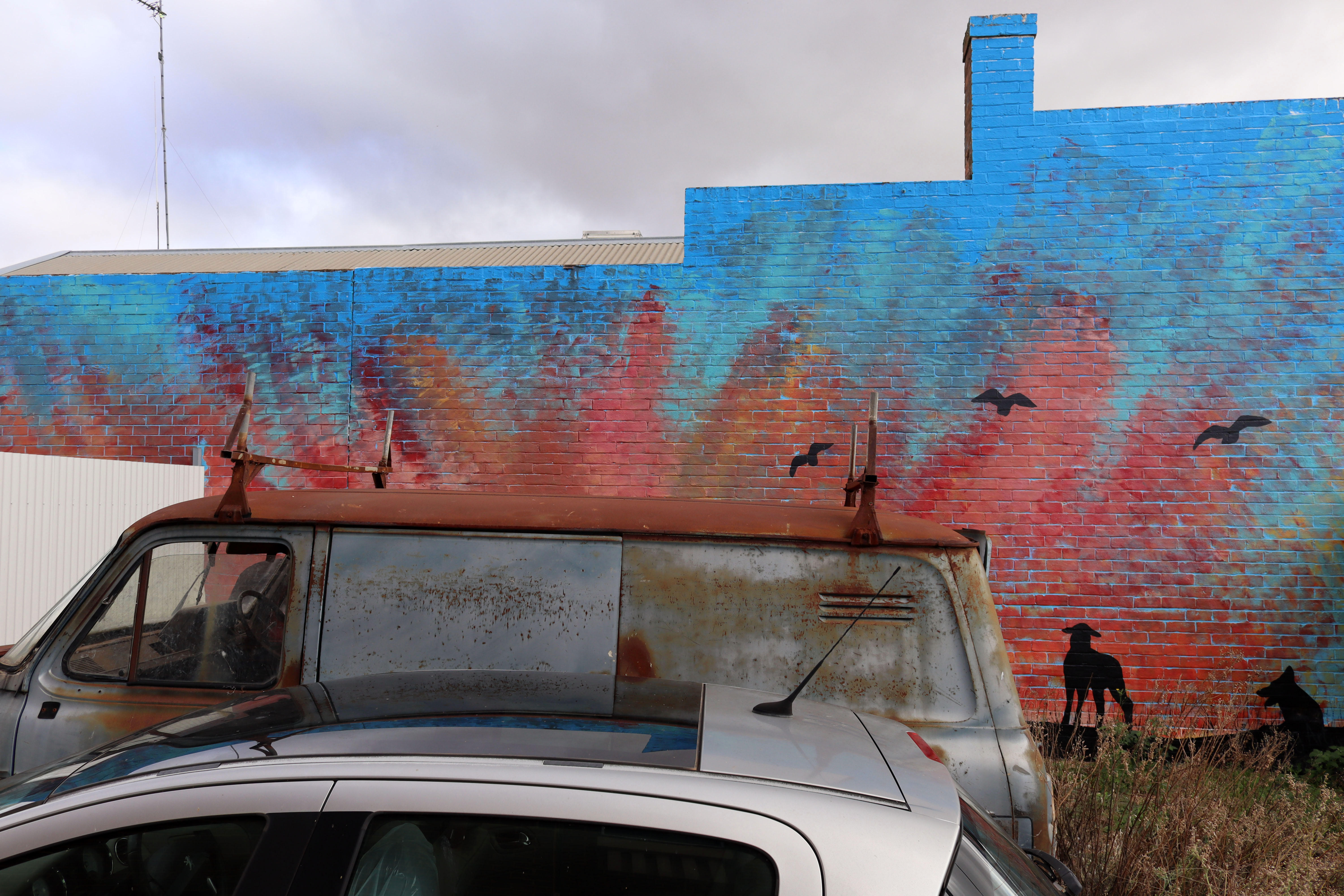 Untitled | Street Art NSW