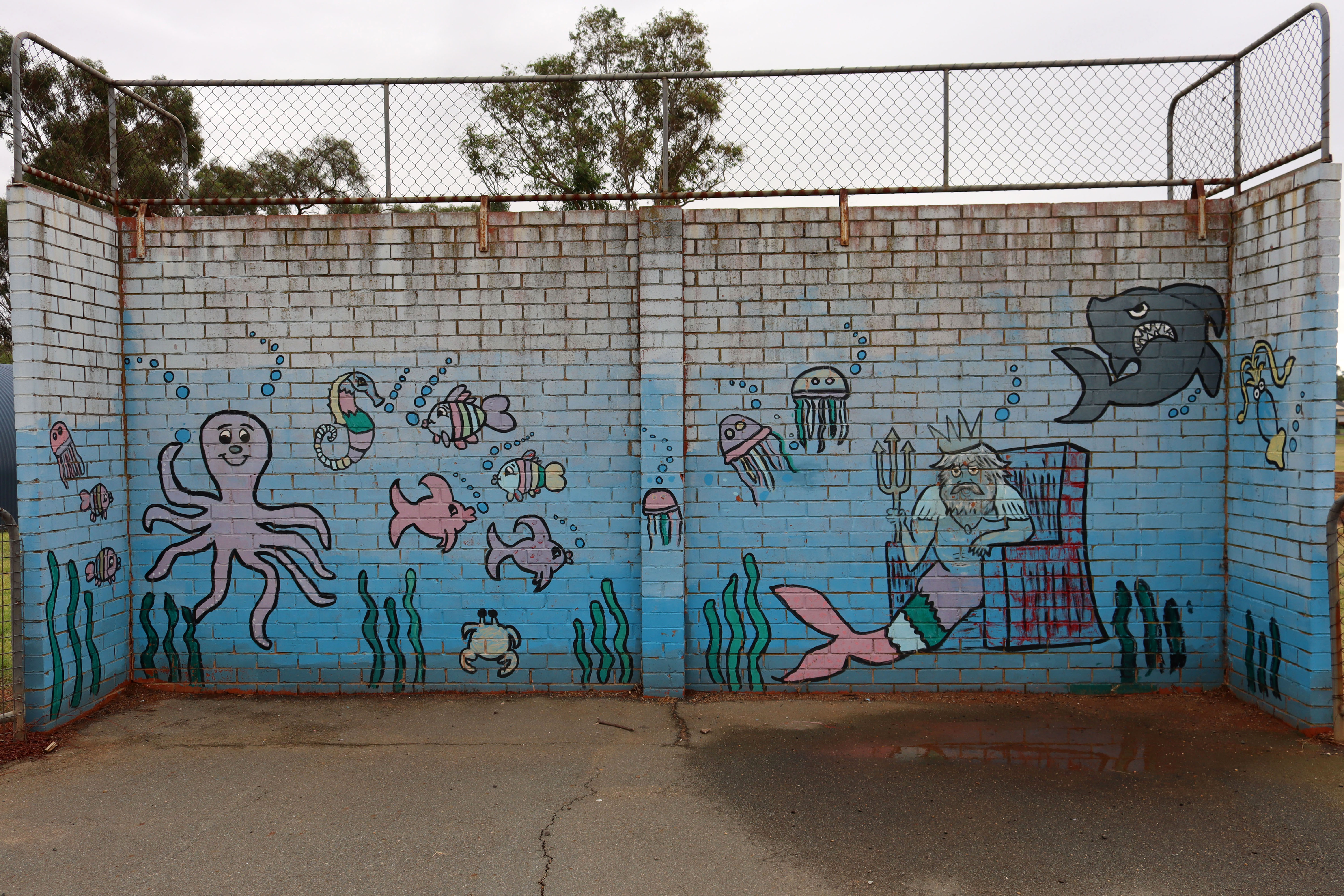 Untitled | Street Art NSW