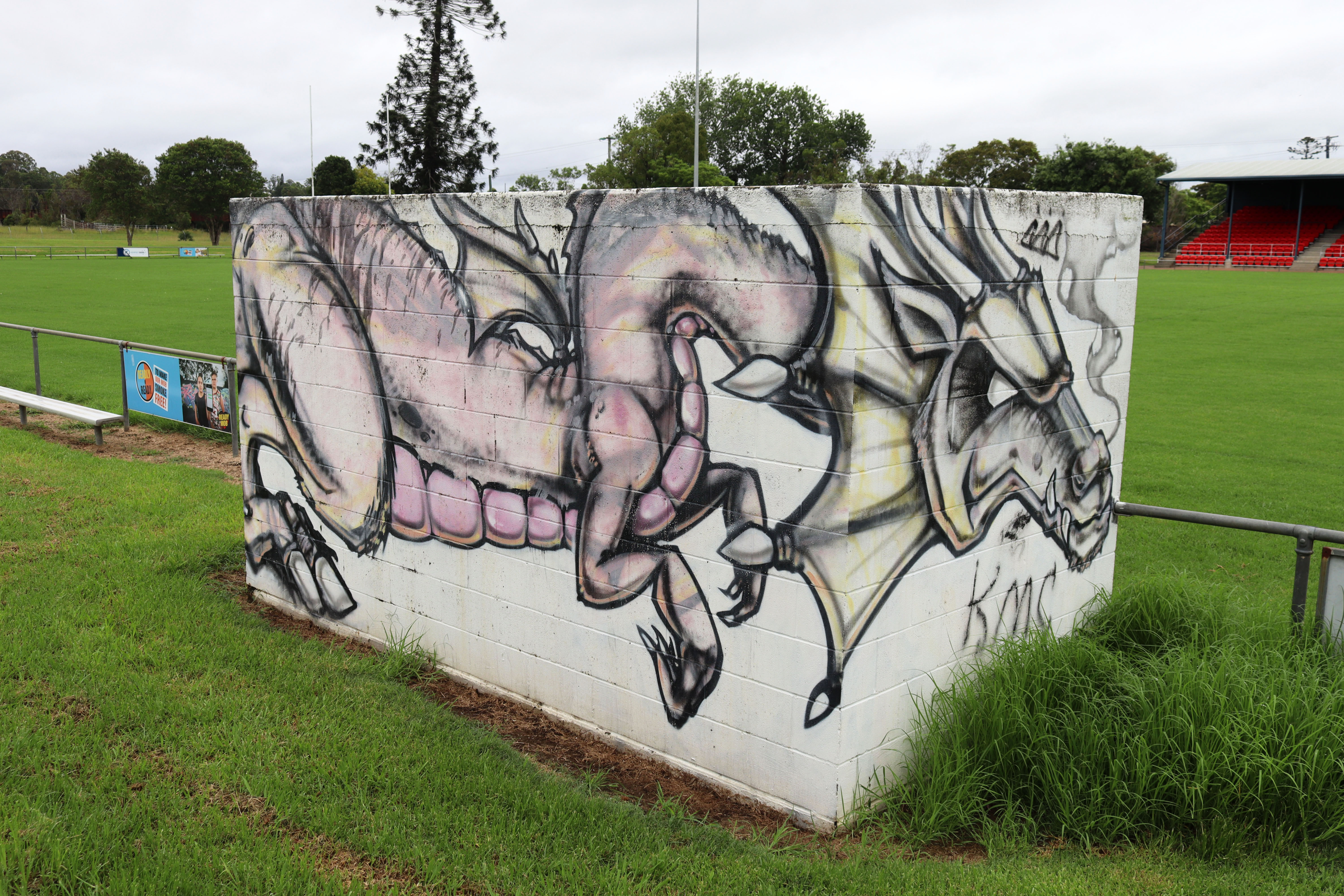Kempsey Dragon | Street Art NSW