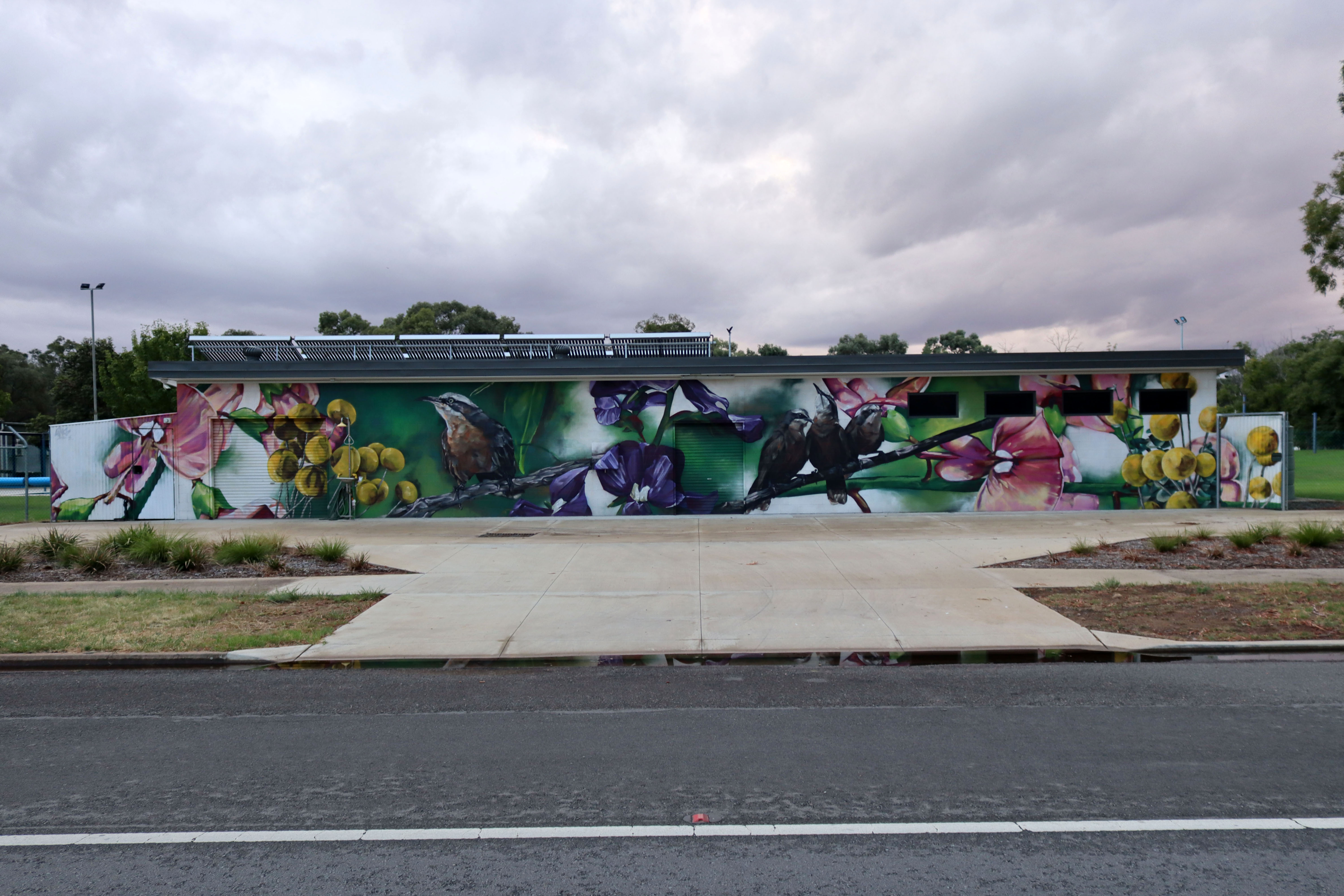 Jerilderie Swimming Pool Mural