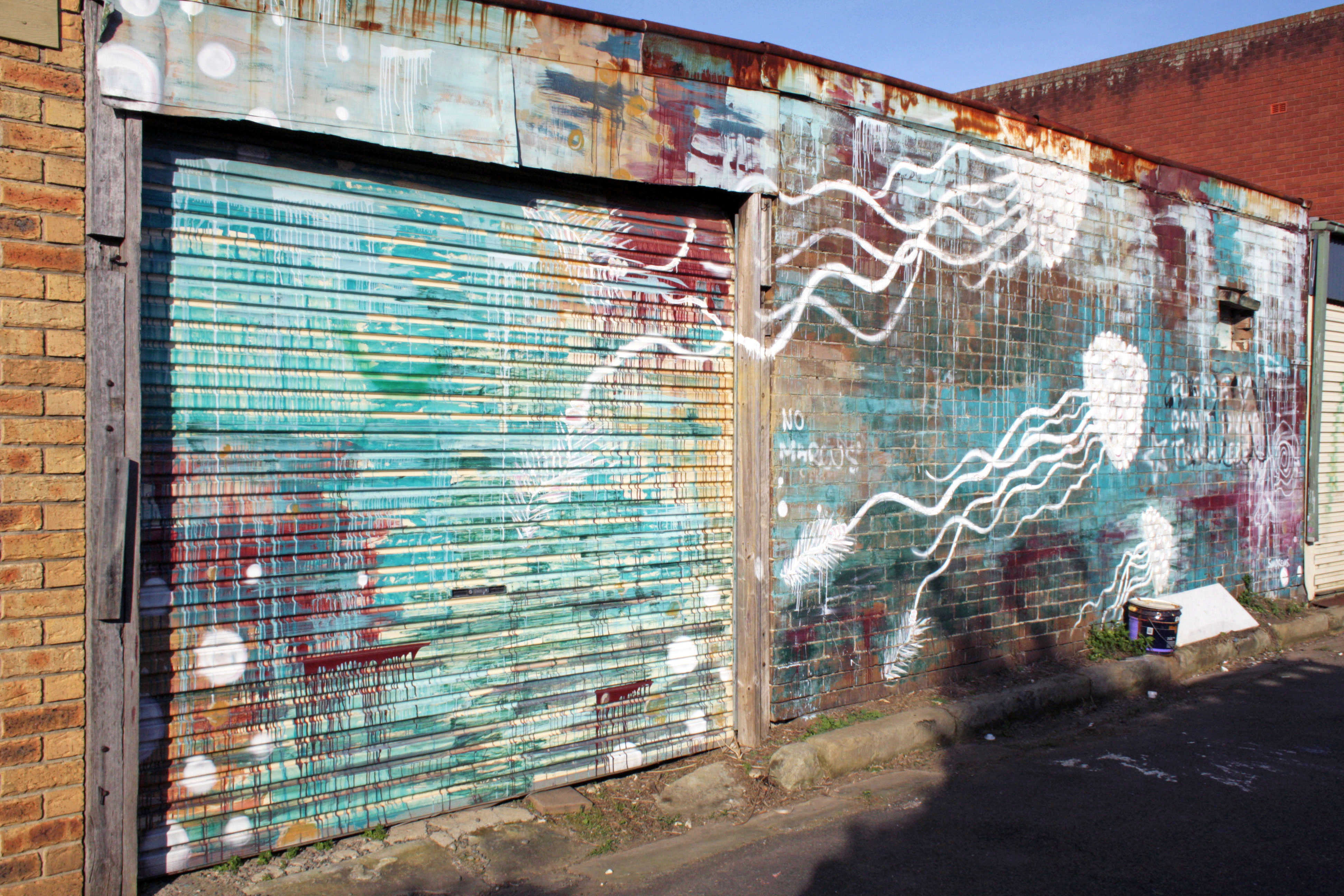 Untitled by Sam Dreams | Street Art NSW