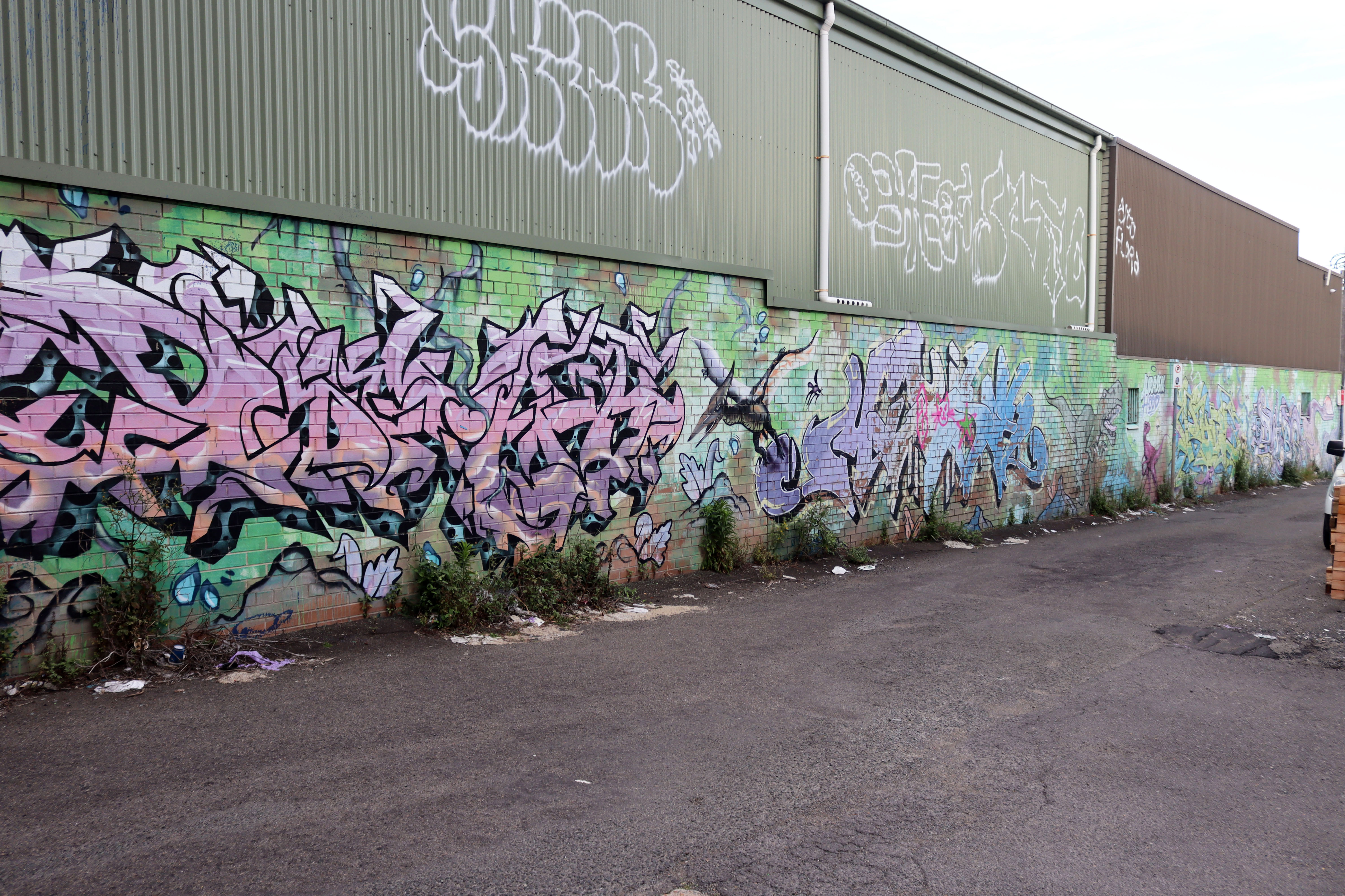 Jurassic Hood by Phibs | Street Art NSW