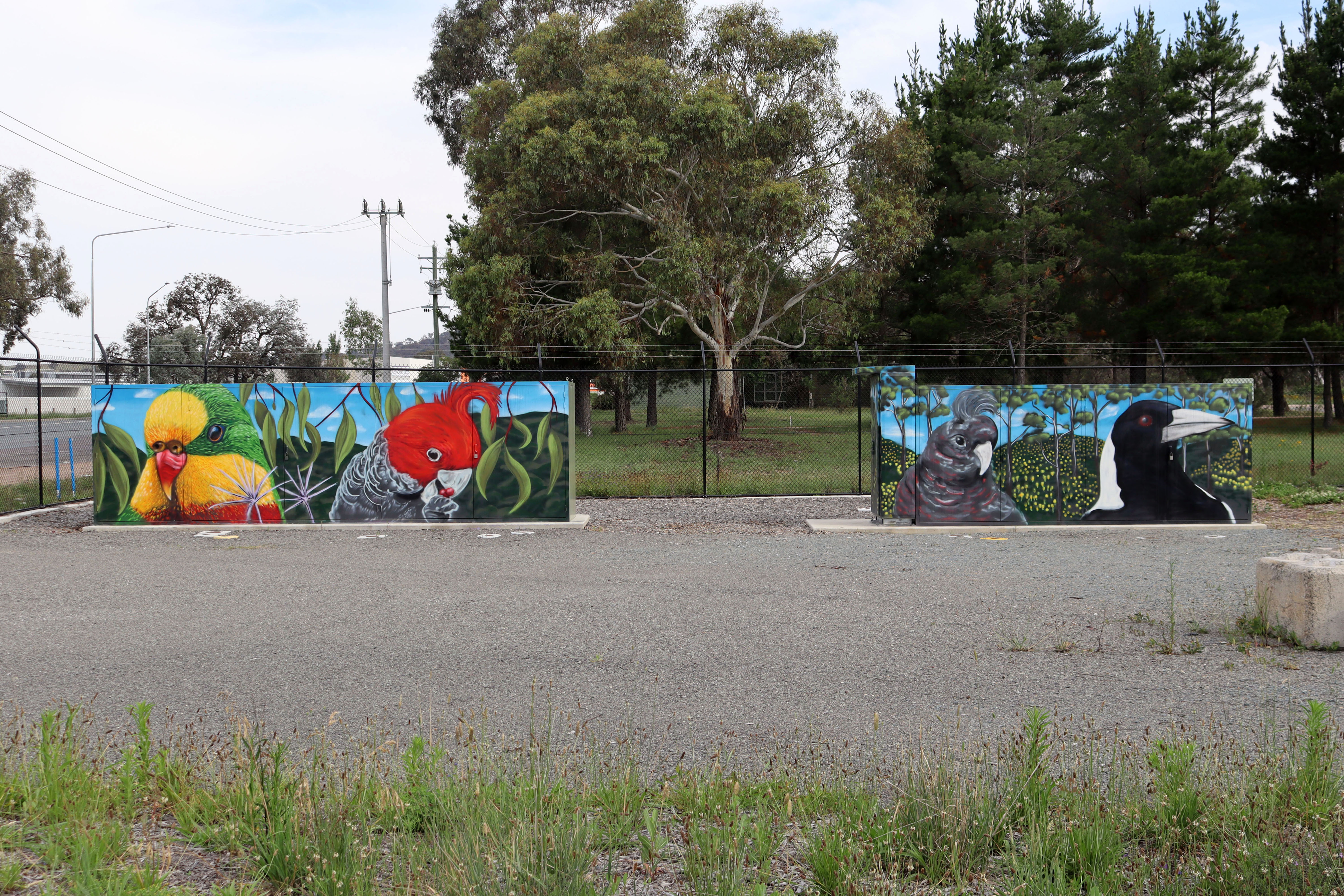 Untitled by GraffikPaint | Street Art NSW