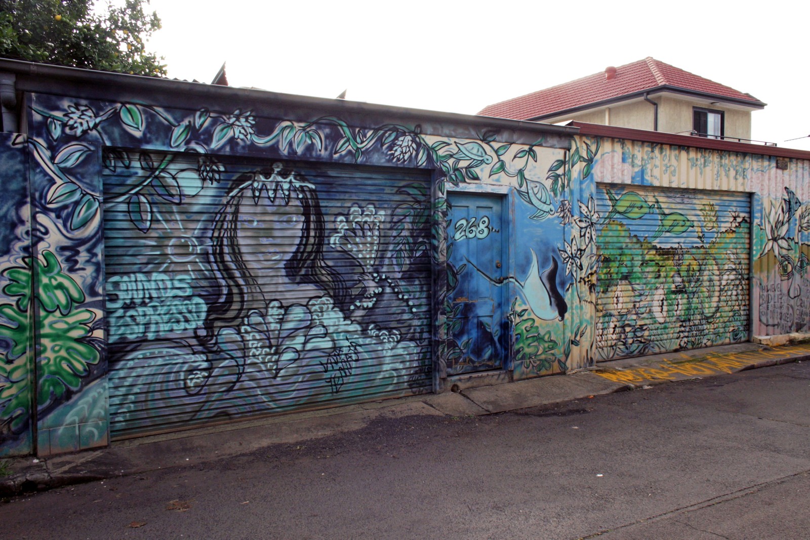Untitled by lulubelart | Street Art NSW
