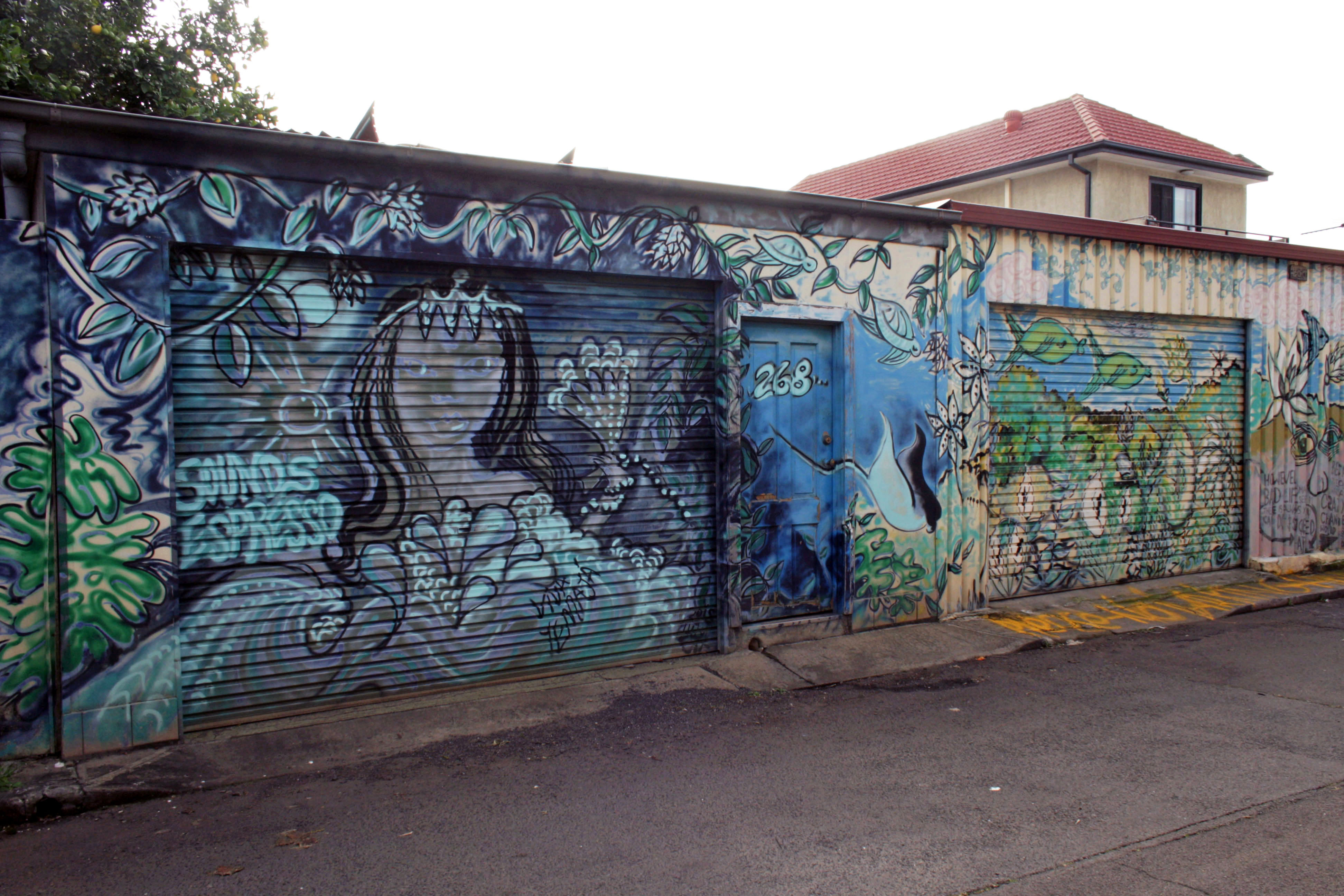Untitled by lulubelart | Street Art NSW