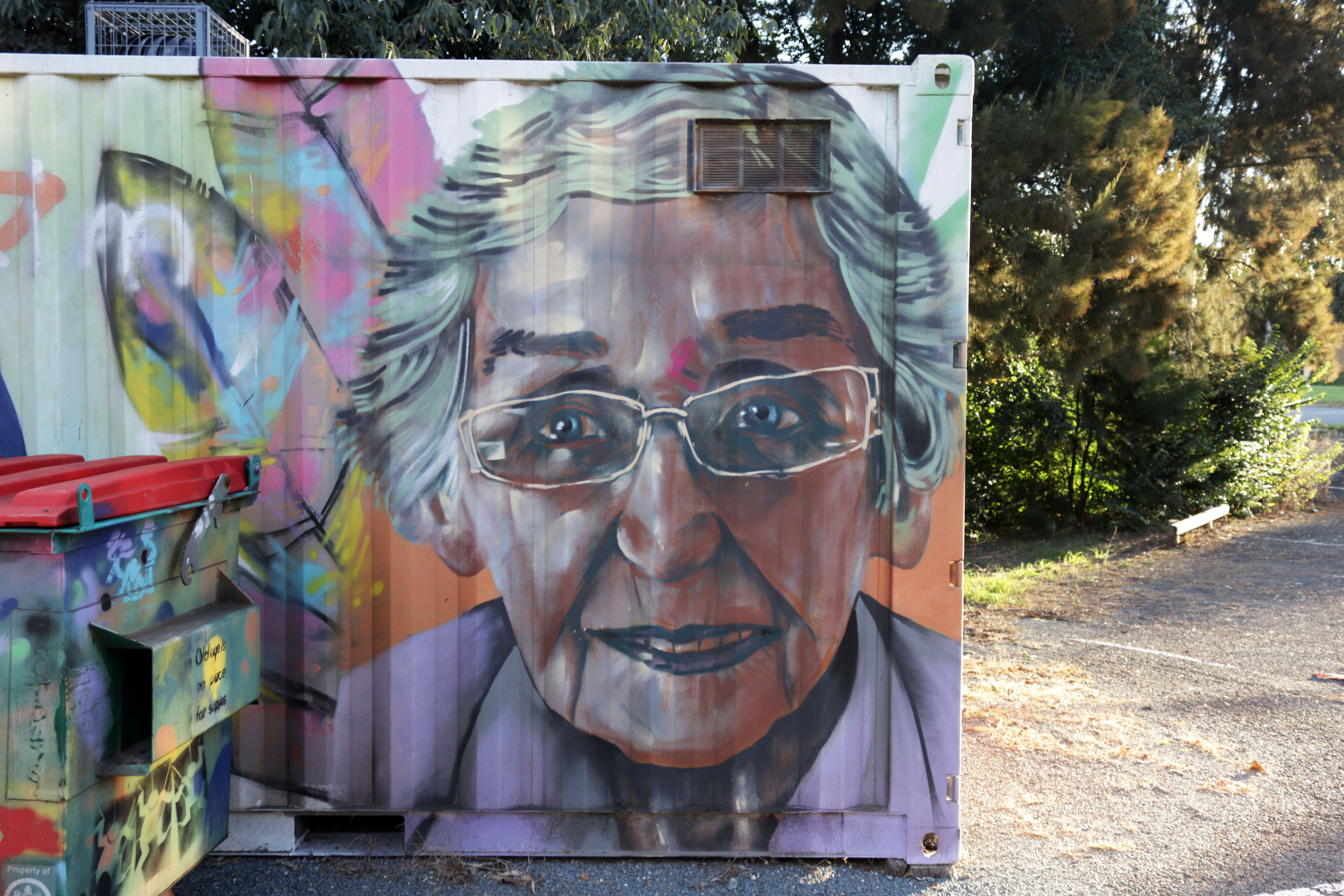 Untitled by Dai Cameron | Street Art NSW