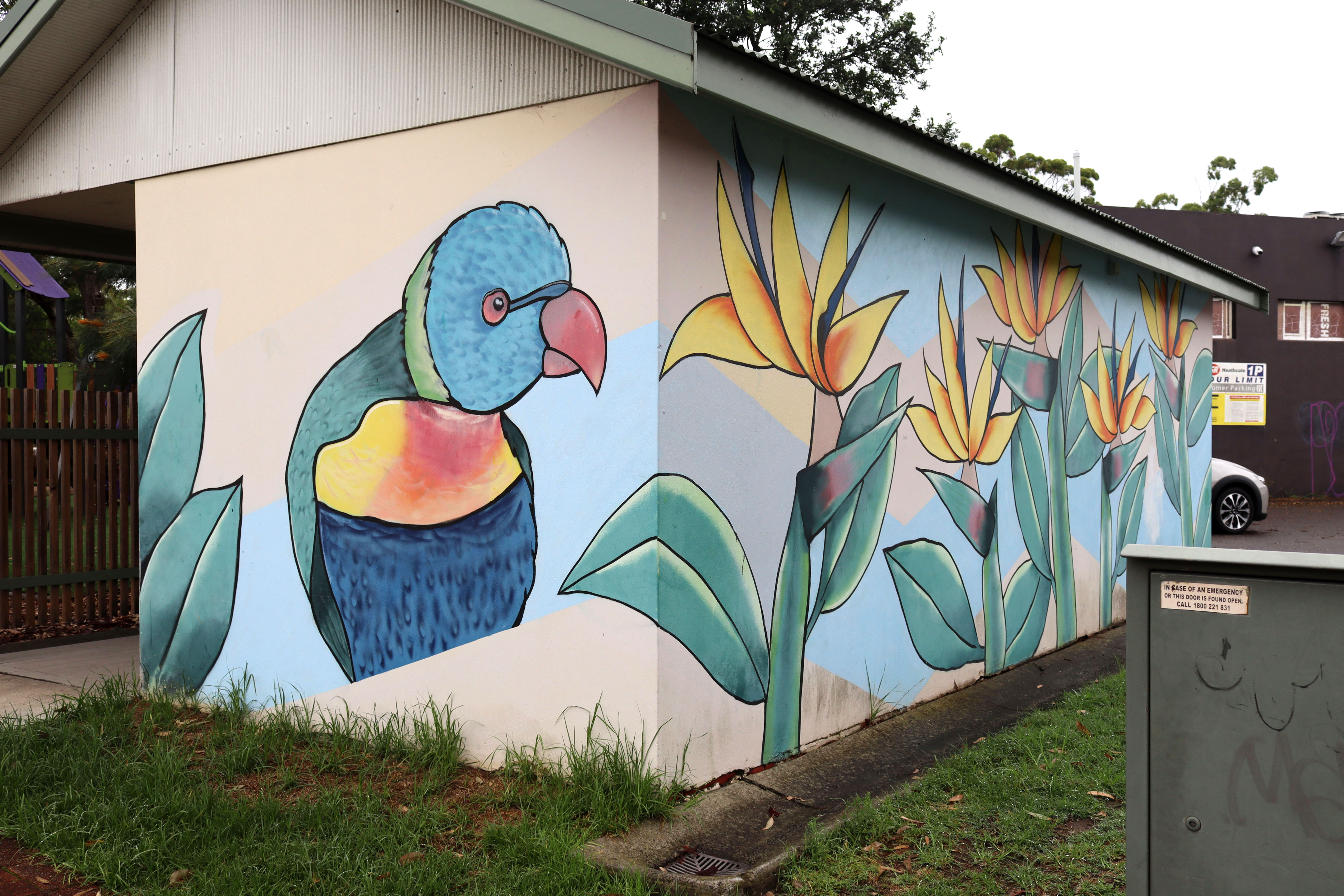 Bird of Paradise & Lorikeet