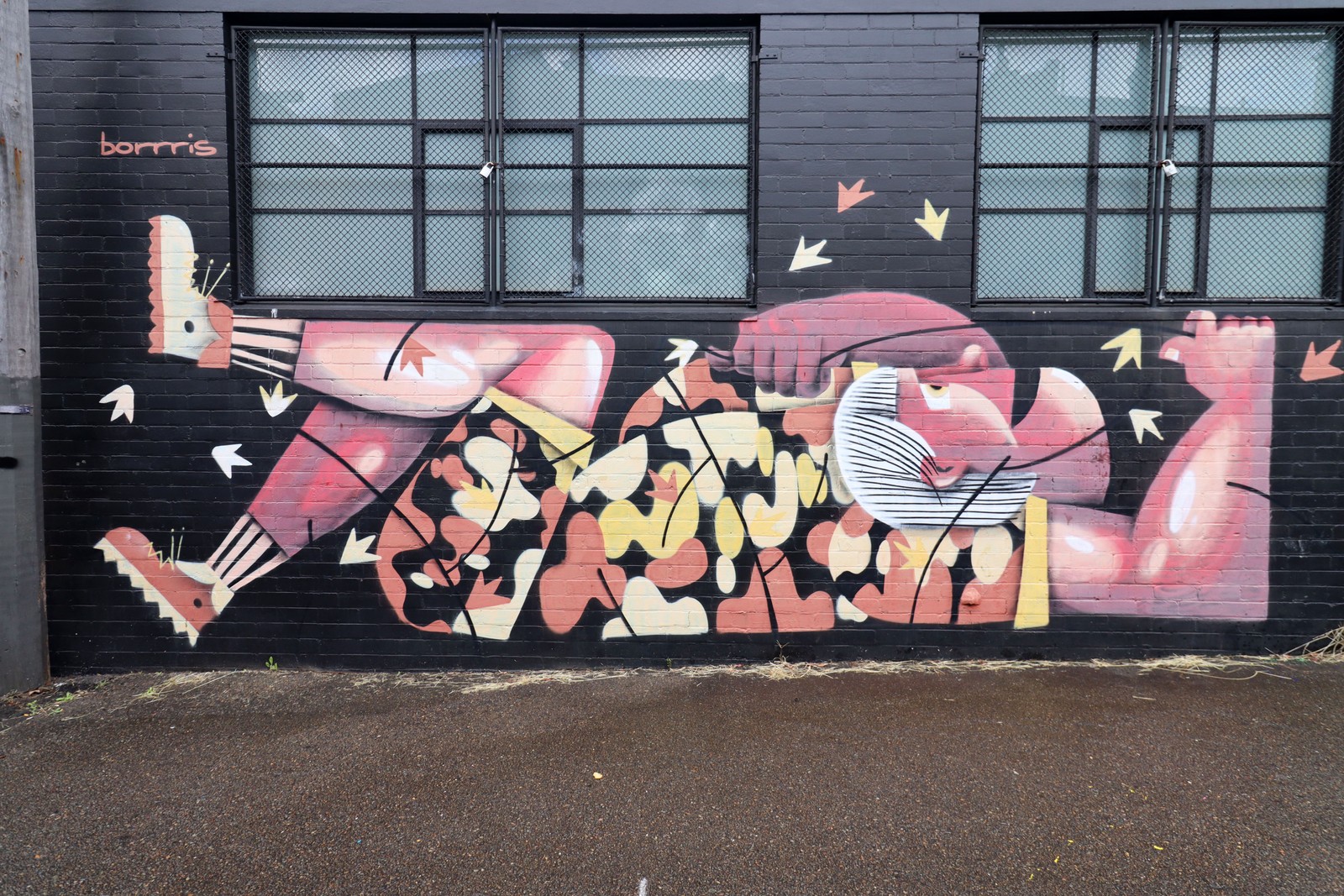 Steve Irwin Tribute by Boris Biberdzic | Street Art NSW